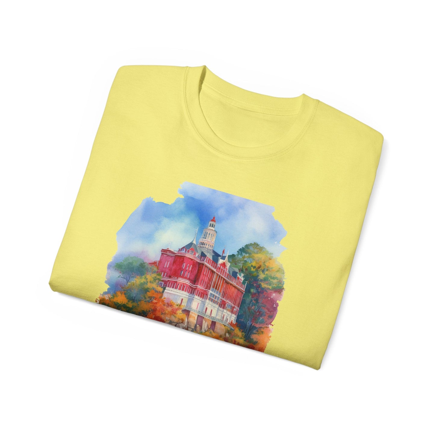 Connecticut Graphic Unisex Cotton T‑Shirt 2