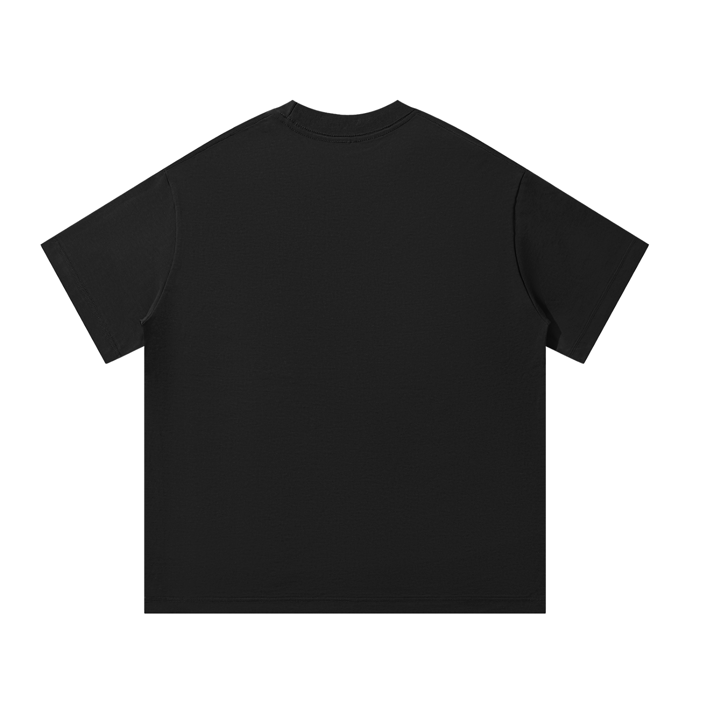 Parrot Beach Unisex Oversized 100 Cotton T-Shirt