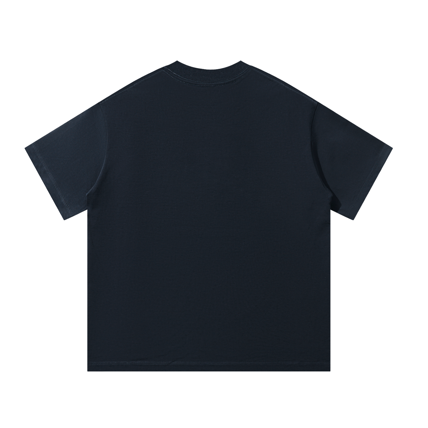 Parrot Beach Unisex Oversized 100 Cotton T-Shirt