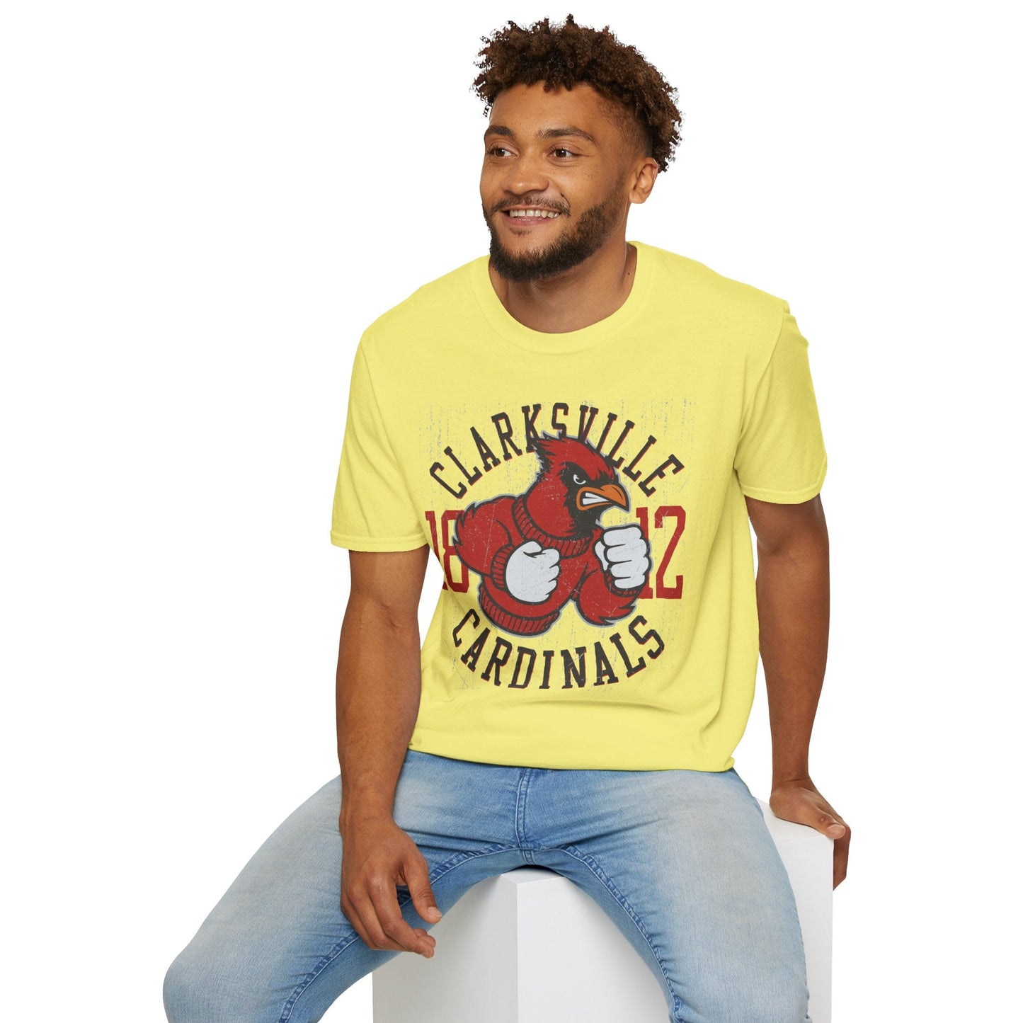 Art Design Graphic Tee Unisex Softstyle Gildan 64000 100 Percent Ring Spun Cotton