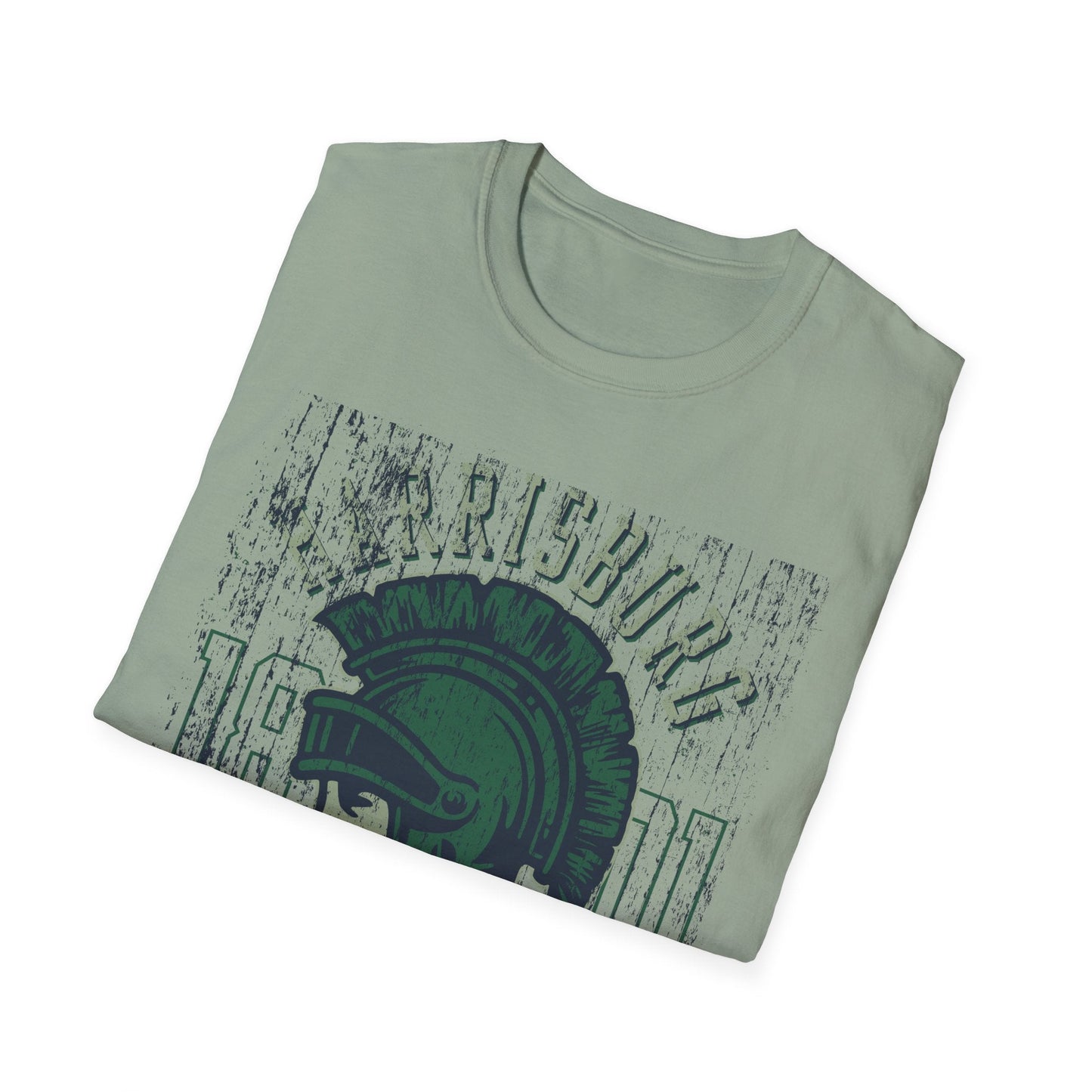Unisex Gildan Softstyle 64000 Art Design Graphic T Shirt With Artwork Print For Everyday Wear
