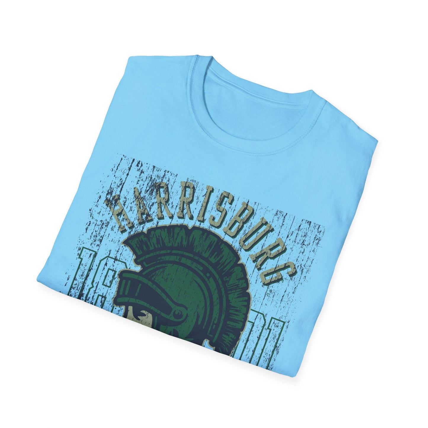 Unisex Gildan Softstyle 64000 Art Design Graphic T Shirt With Artwork Print For Everyday Wear