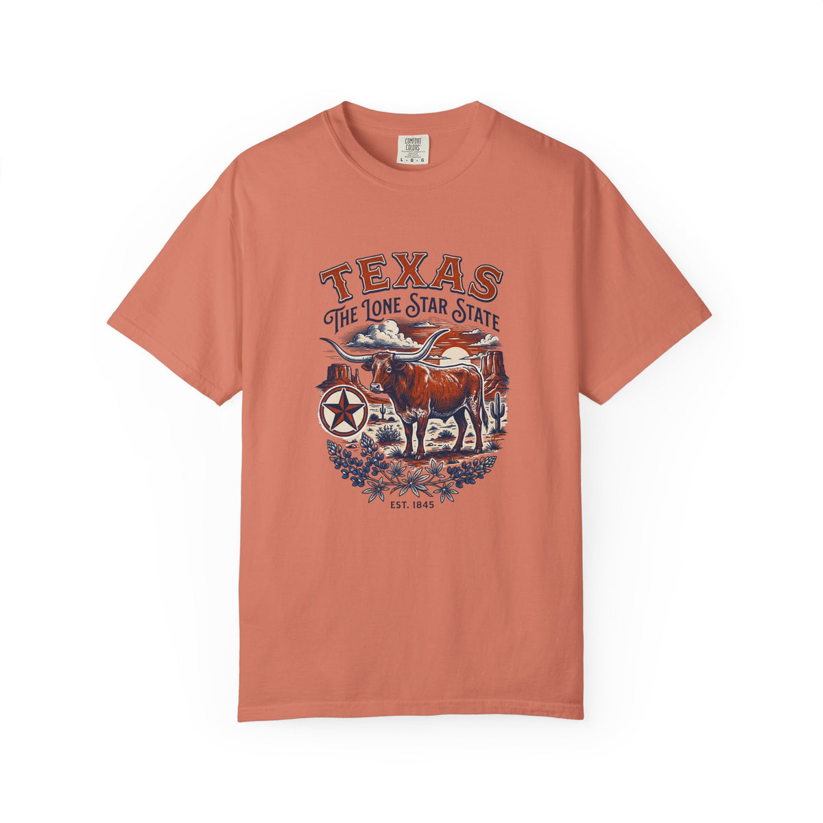 Texas State Vintage Travel Tourist Graphic Tee Unisex 100 Cotton Comfort Colors T-Shirt