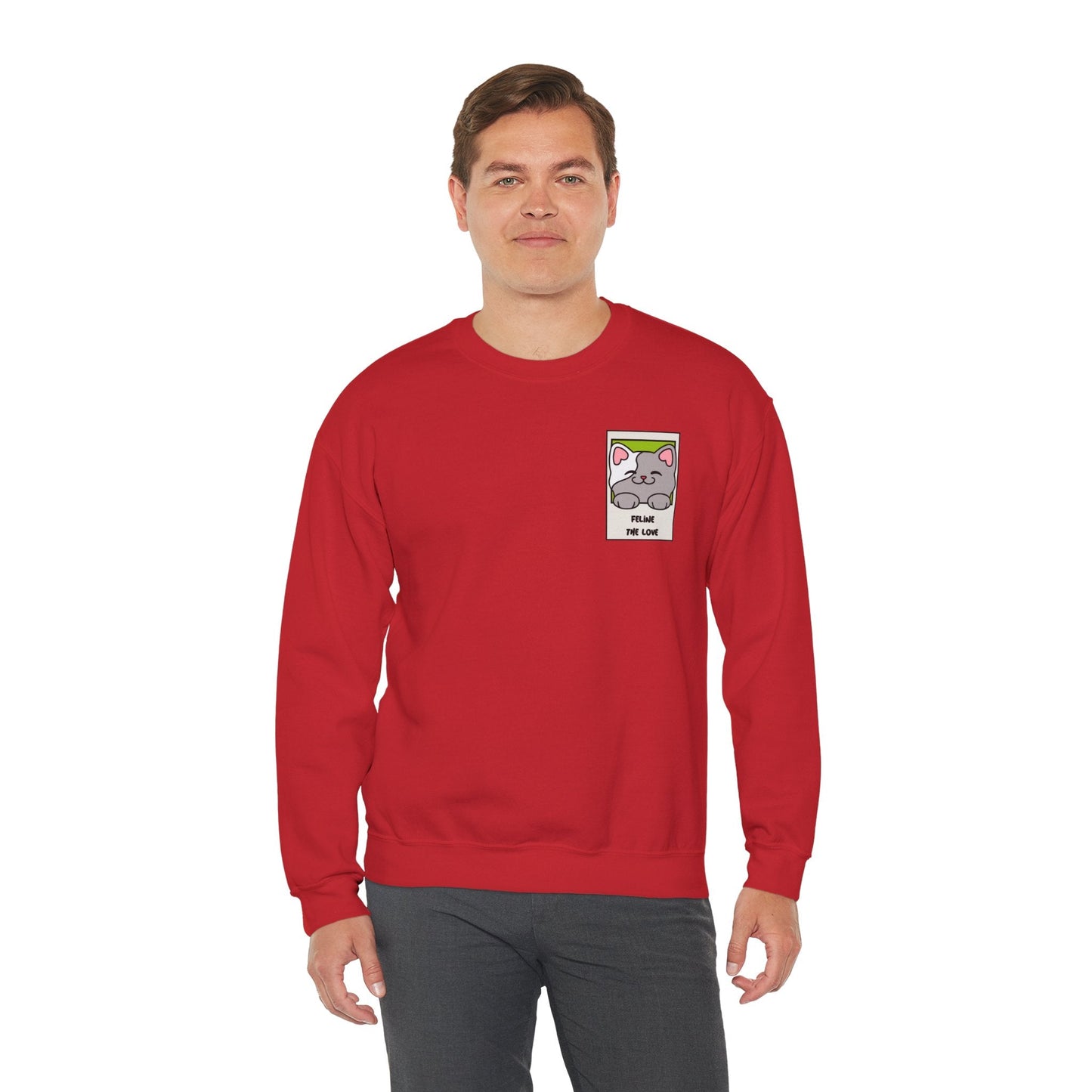 Pocket Cat Sweatshirt Unisex Cat Heart Sweatshirt Valentines Day Gift 50 Percent Cotton Poly Blend