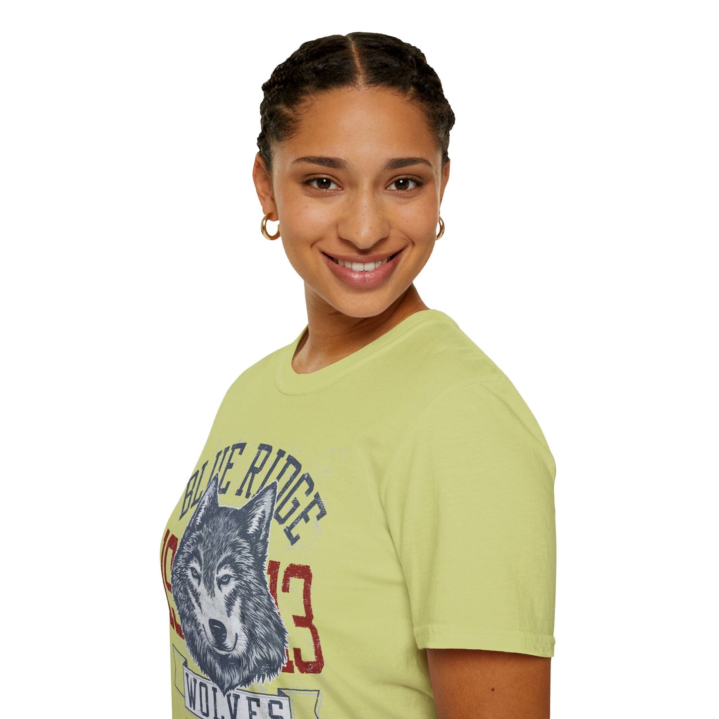 Art Design Shirt Graphic Tee Unisex Gildan Softstyle 64000 Cotton T Shirt With Artful Graphic Design