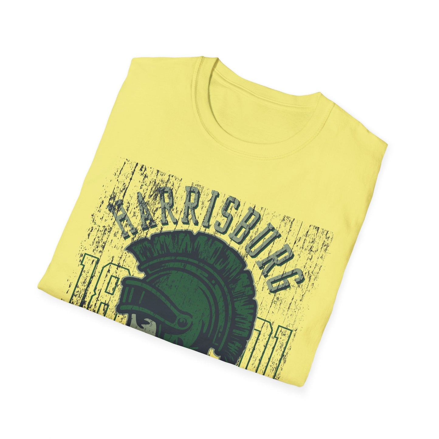Unisex Gildan Softstyle 64000 Art Design Graphic T Shirt With Artwork Print For Everyday Wear