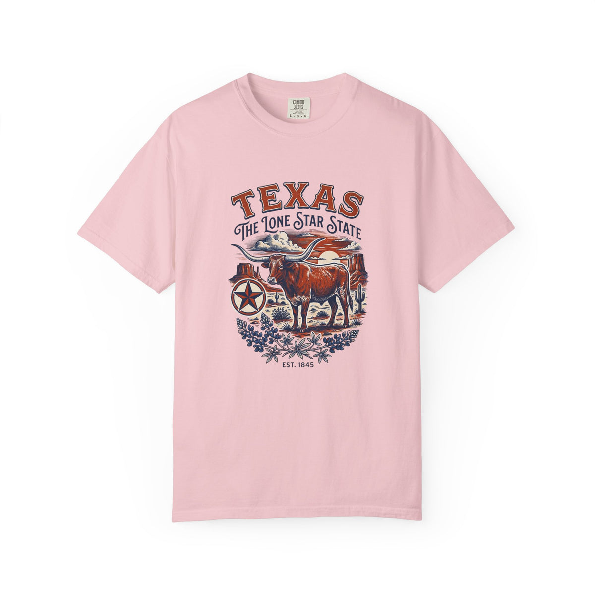 Texas State Vintage Travel Tourist Graphic Tee Unisex 100 Cotton Comfort Colors T-Shirt