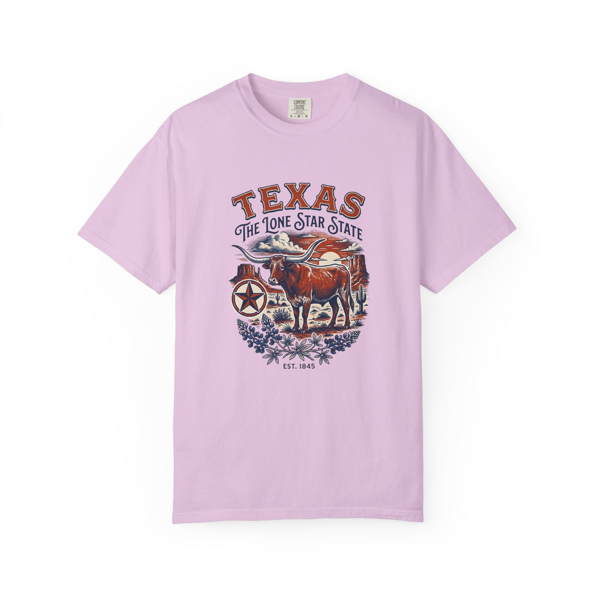 Texas State Vintage Travel Tourist Graphic Tee Unisex 100 Cotton Comfort Colors T-Shirt