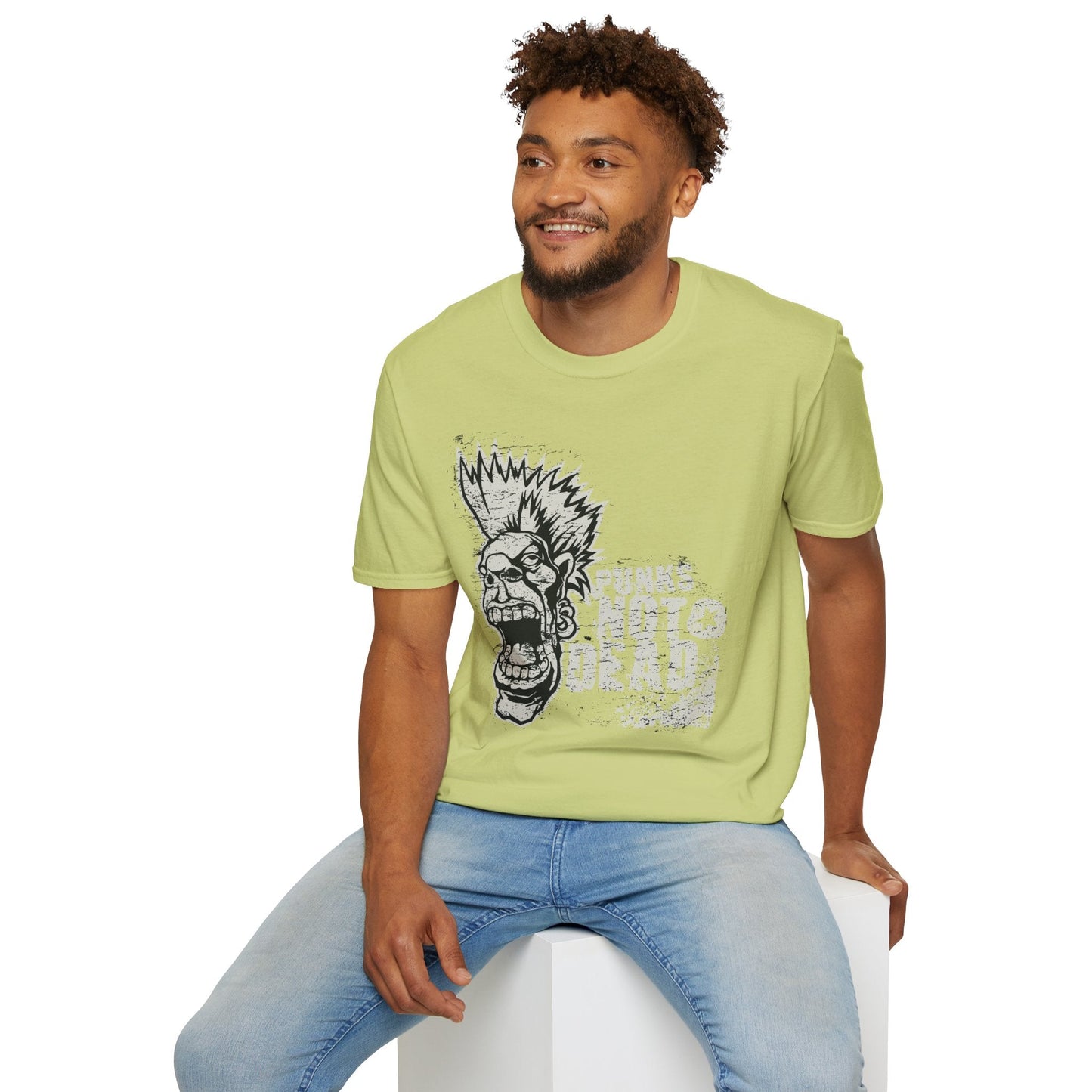 Art Design Graphic Unisex Softstyle T Shirt With Graphic Art Tee For Everyday Wear