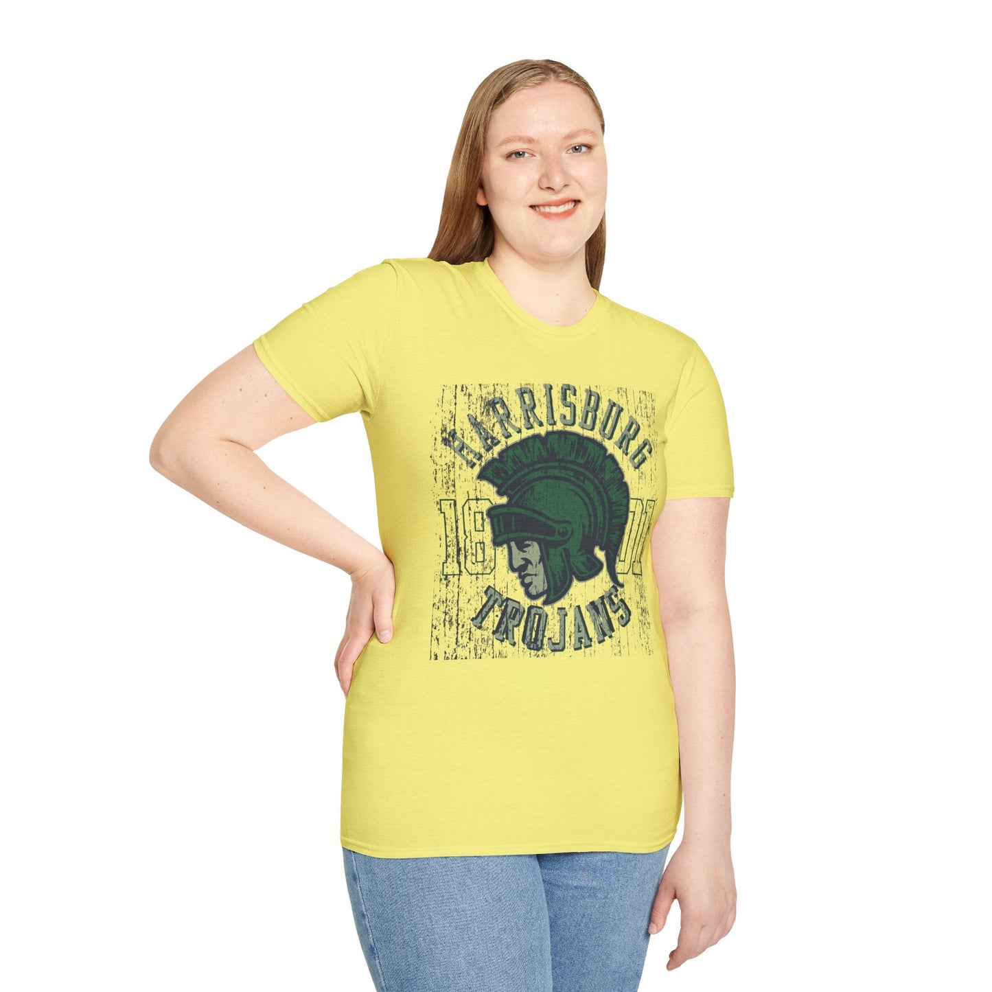 Unisex Gildan Softstyle 64000 Art Design Graphic T Shirt With Artwork Print For Everyday Wear