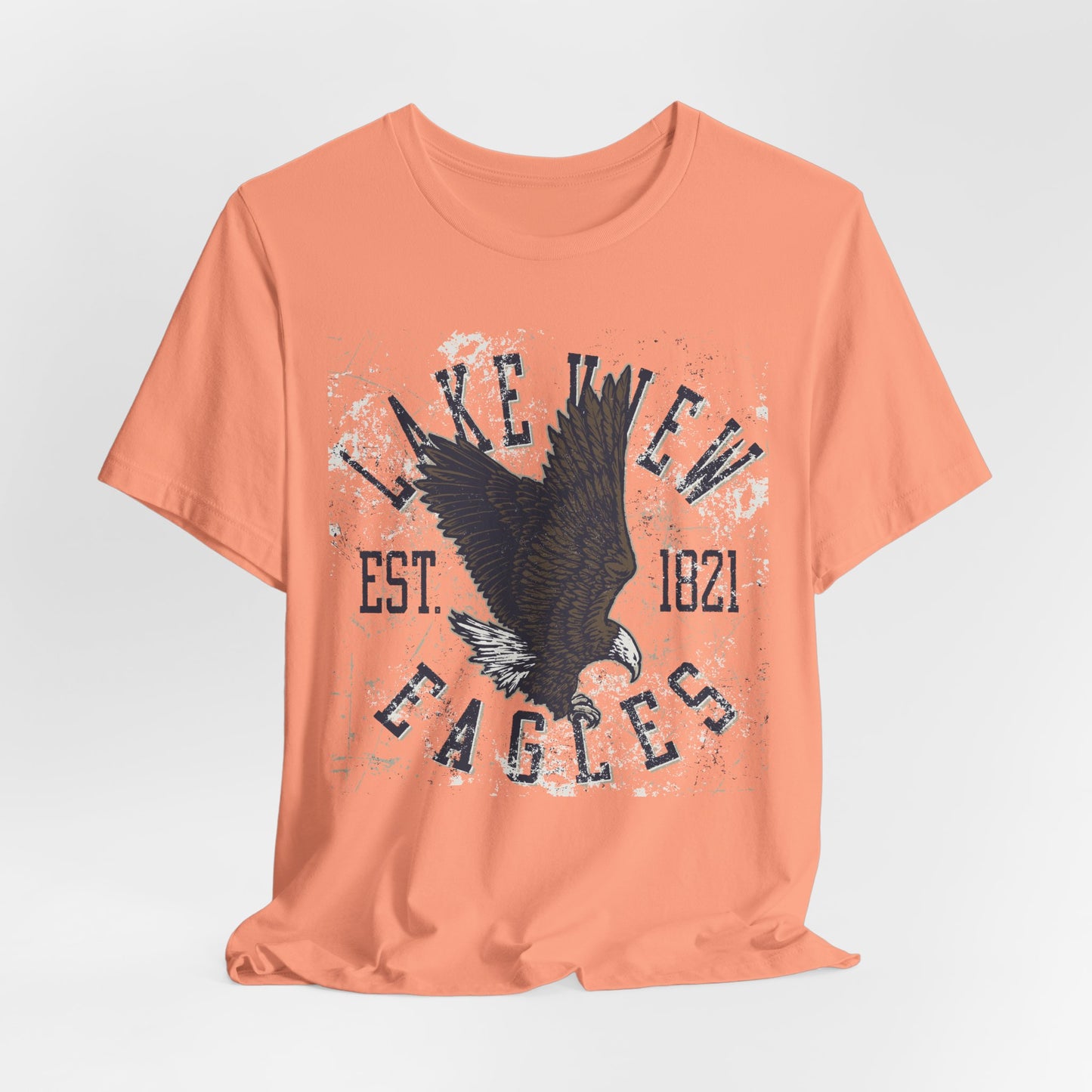 Vintage Tee, Football Graphic T-Shirt, Eagle T-Shirt, Vintage Shirt, Wildlife Tee, Art Design Music Tees