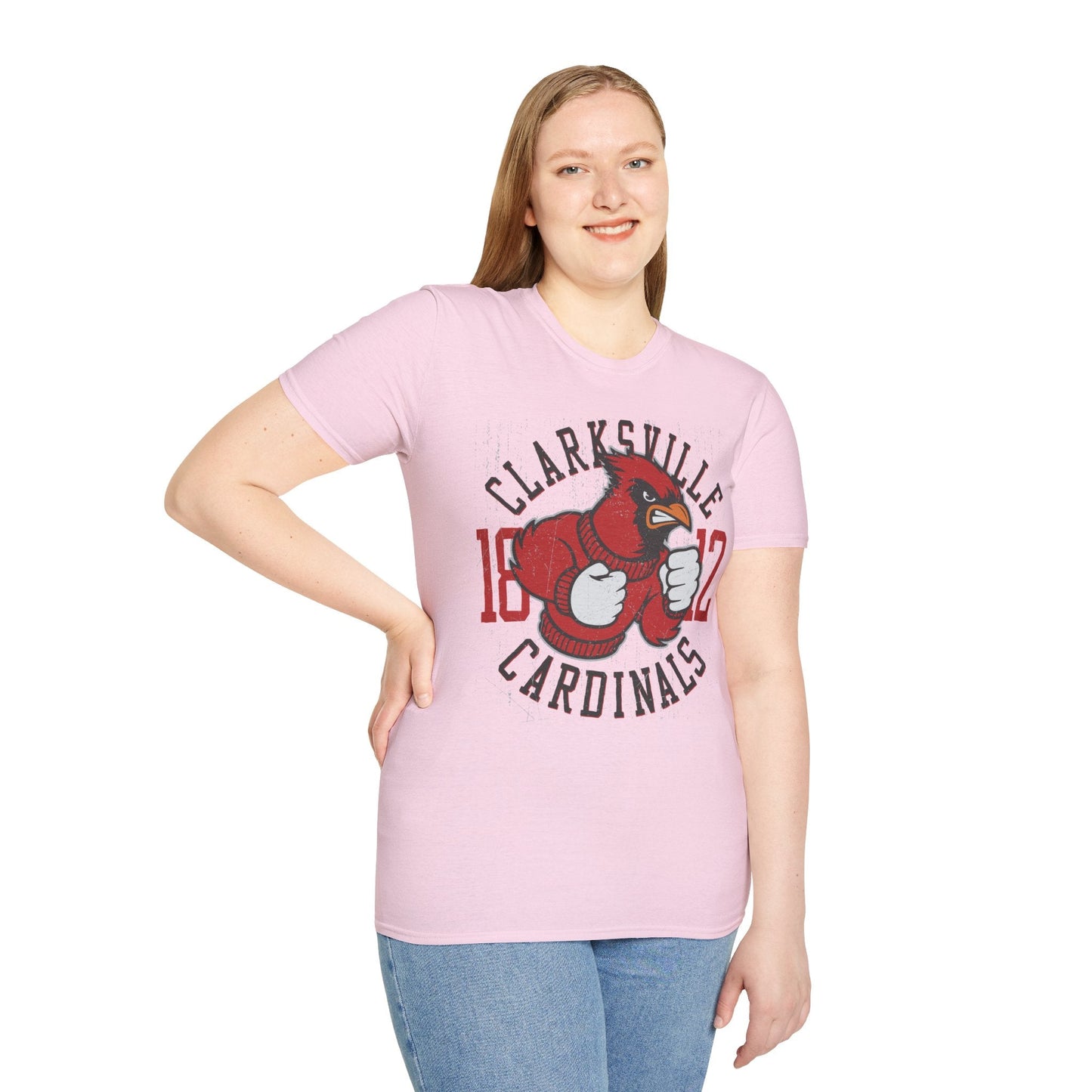 Art Design Graphic Tee Unisex Softstyle Gildan 64000 100 Percent Ring Spun Cotton