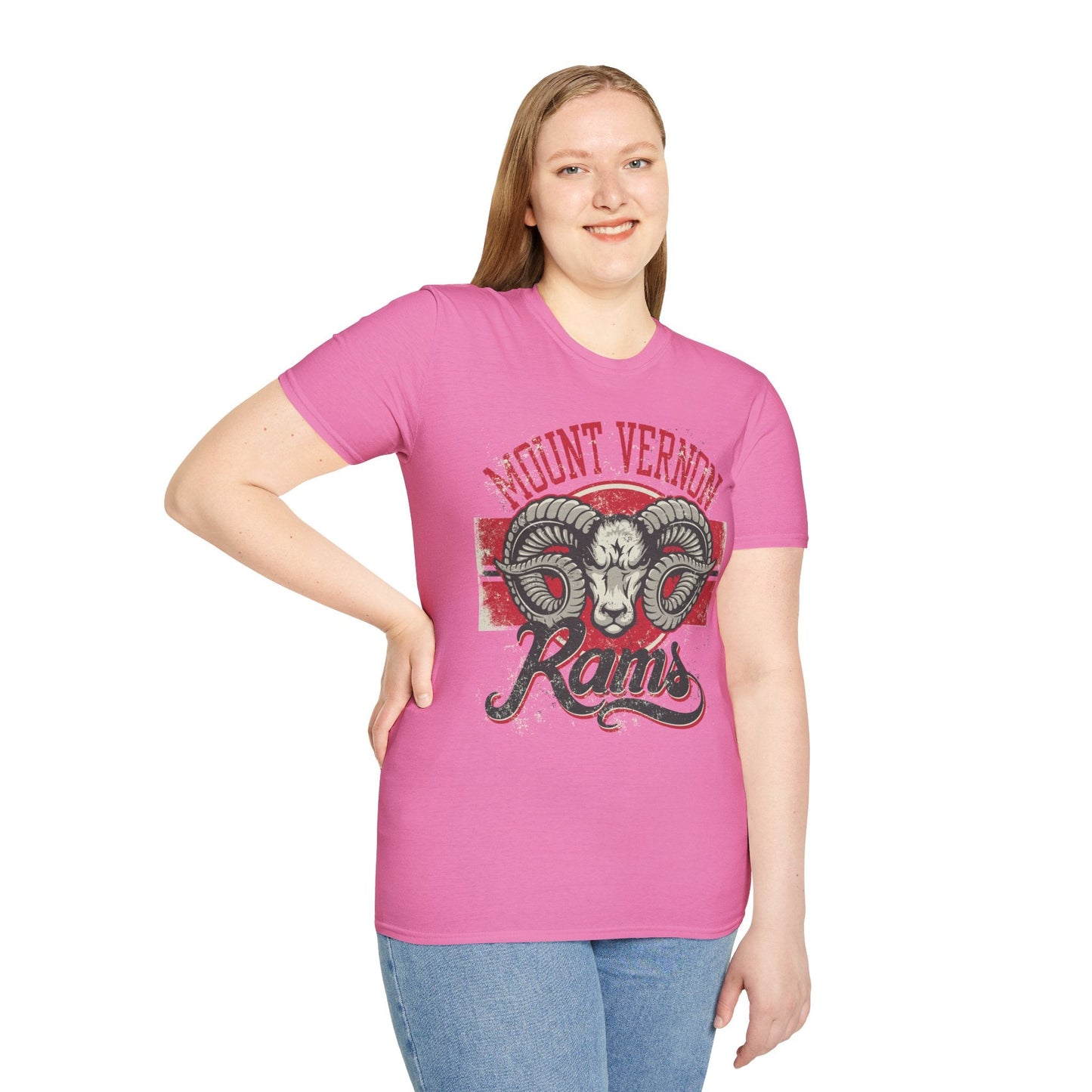 Art Design Graphic Tee Shirt Unisex Softstyle 100 Percent Cotton Gildan 64000 Premium Comfort
