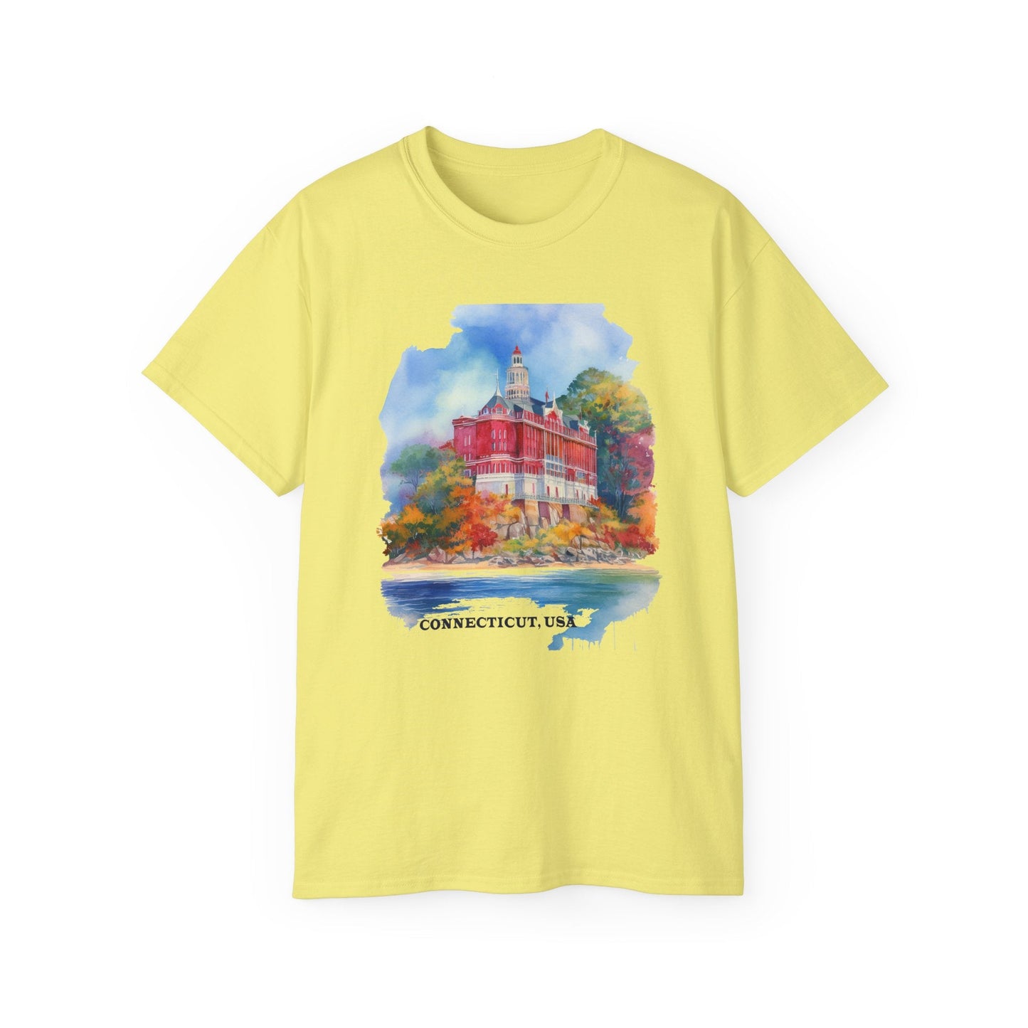 Connecticut Graphic Unisex Cotton T‑Shirt 2