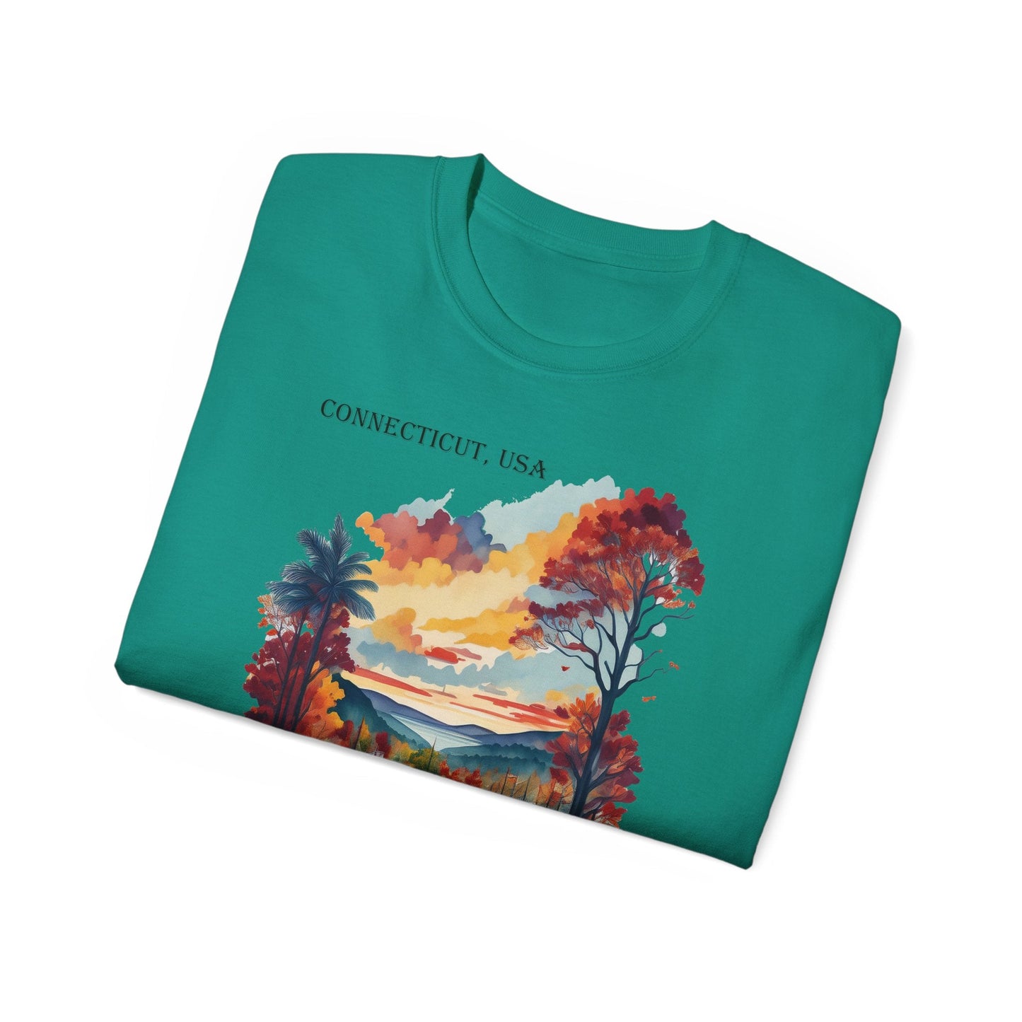 Connecticut Graphic Unisex Cotton T‑Shirt 1