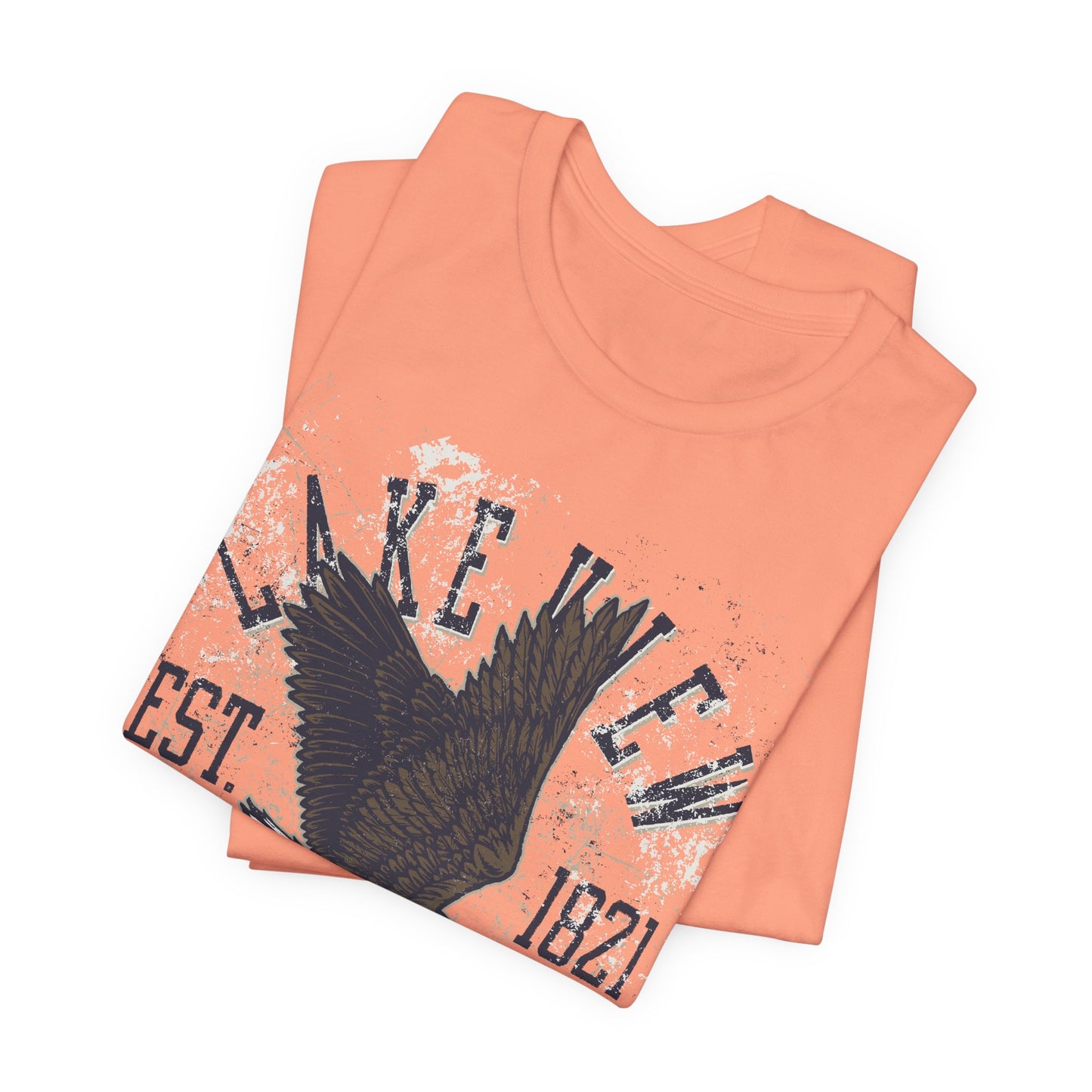 Vintage Tee, Football Graphic T-Shirt, Eagle T-Shirt, Vintage Shirt, Wildlife Tee, Art Design Music Tees