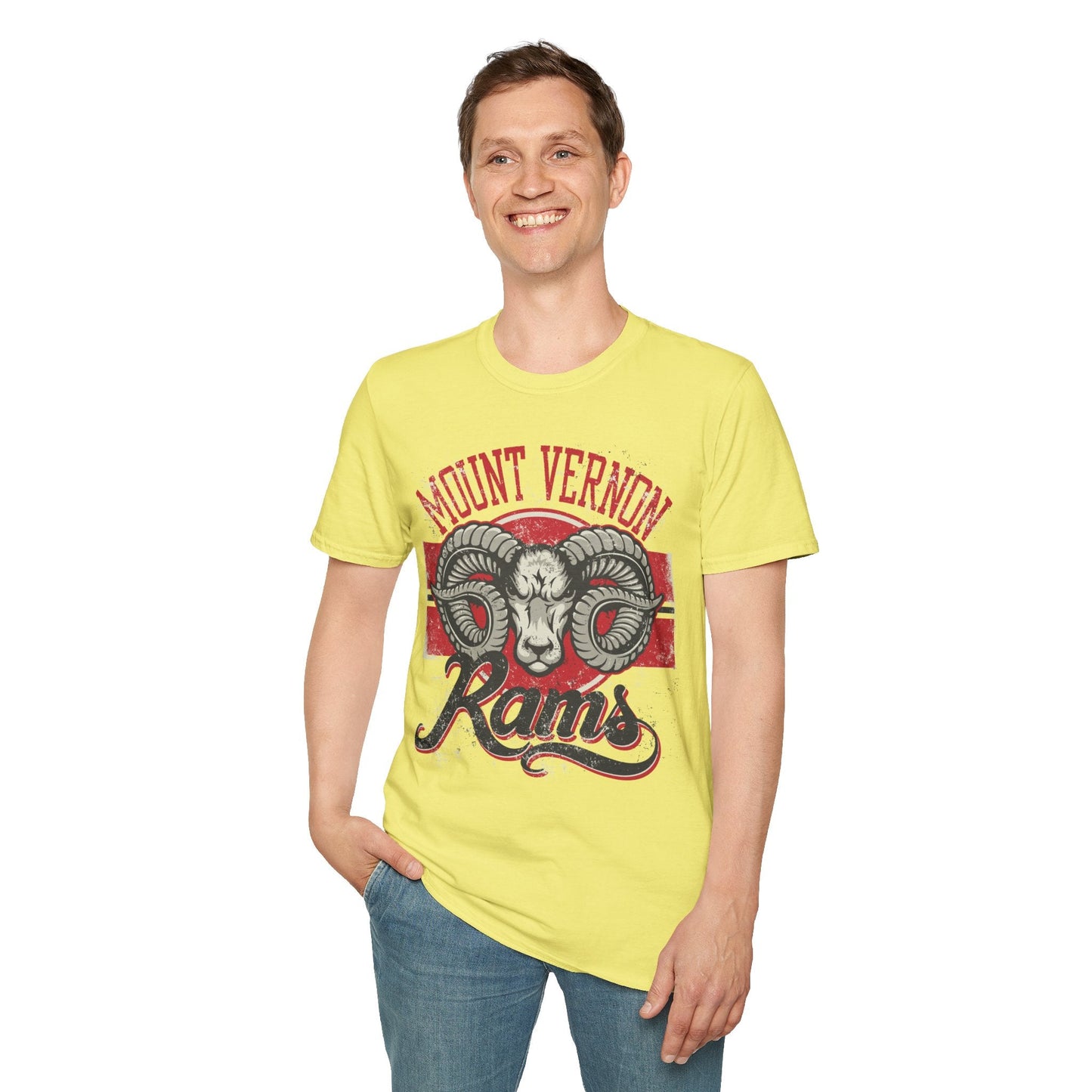 Art Design Graphic Tee Shirt Unisex Softstyle 100 Percent Cotton Gildan 64000 Premium Comfort