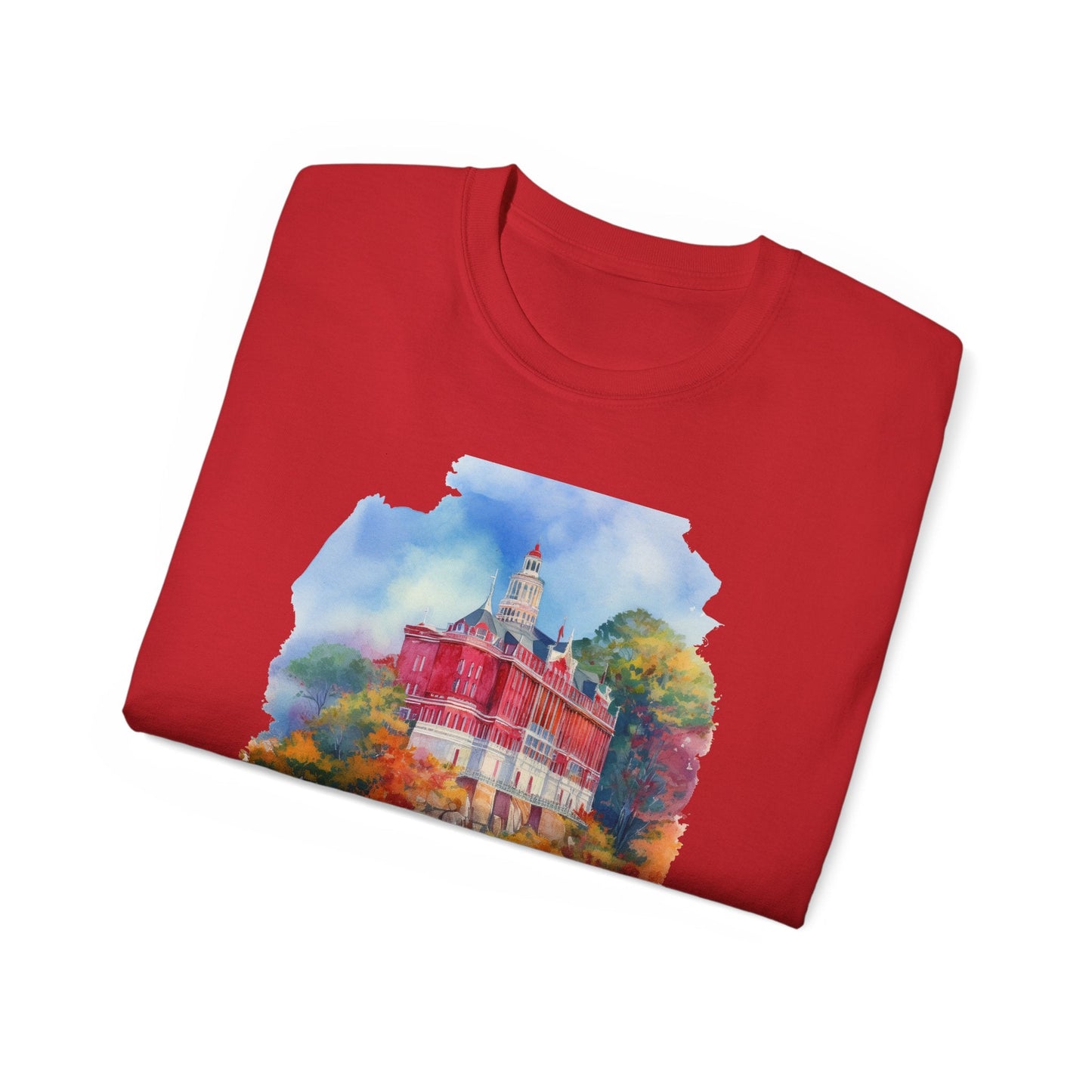Connecticut Graphic Unisex Cotton T‑Shirt 2
