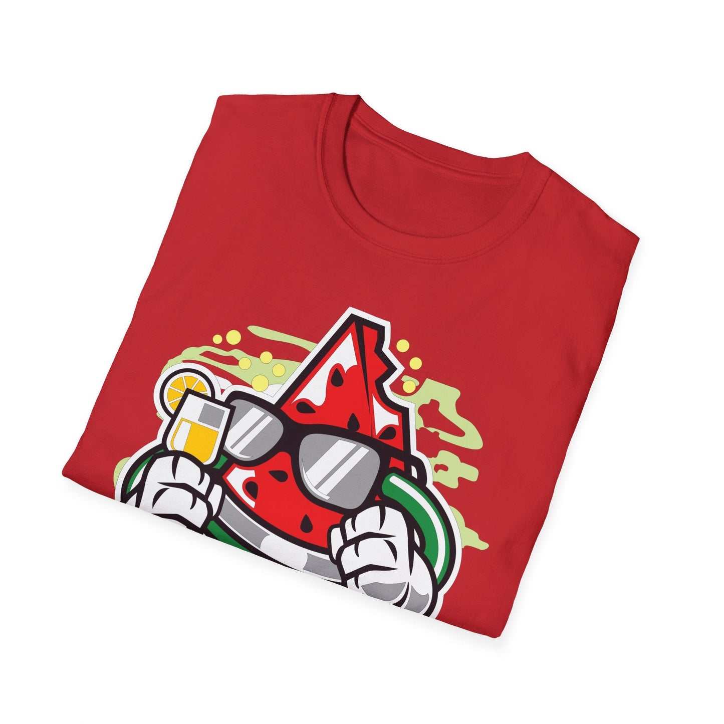Cartoon T Shirt Animation T Shirt Funny Tee Shirt Unisex Gildan Softstyle 64000 Artwork
