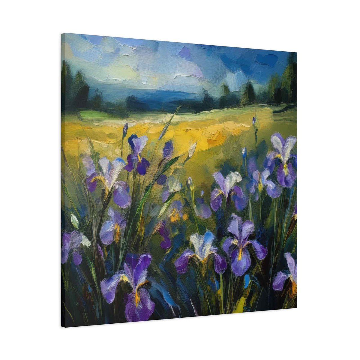 Irises Floral Print Canvas, Floral Oil Paint Print 20x20, 24x24, 30x30, 32x32, 36x36 Art Design Pine-Wood Inner Frame MC-182
