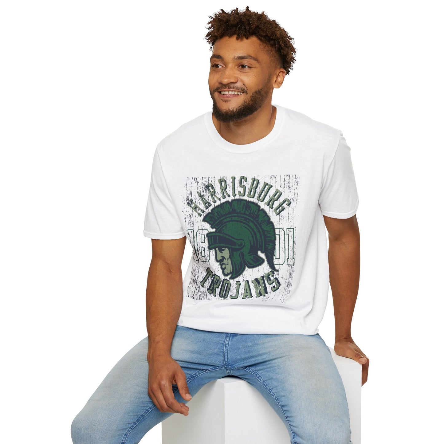 Unisex Gildan Softstyle 64000 Art Design Graphic T Shirt With Artwork Print For Everyday Wear