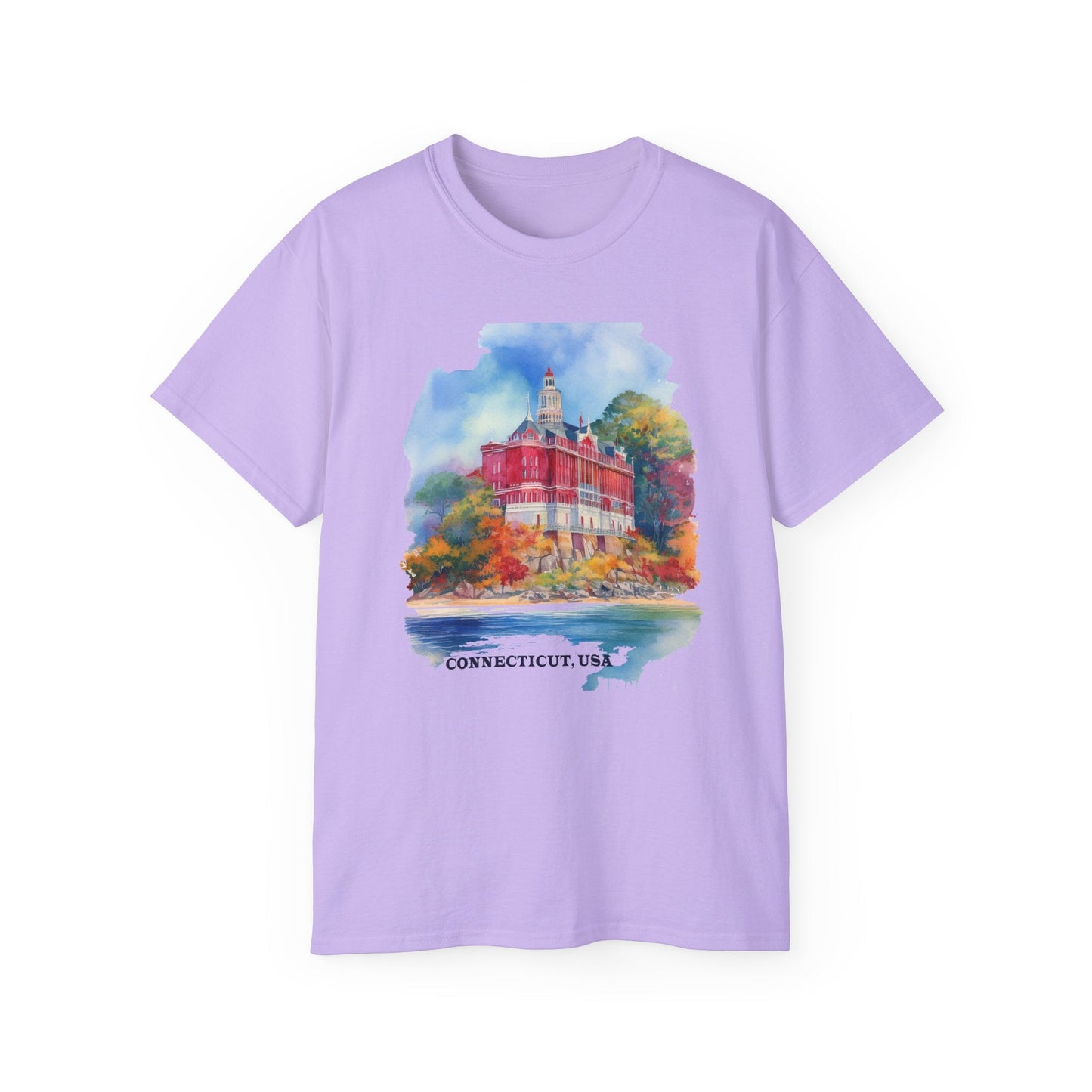 Connecticut Graphic Unisex Cotton T‑Shirt 2