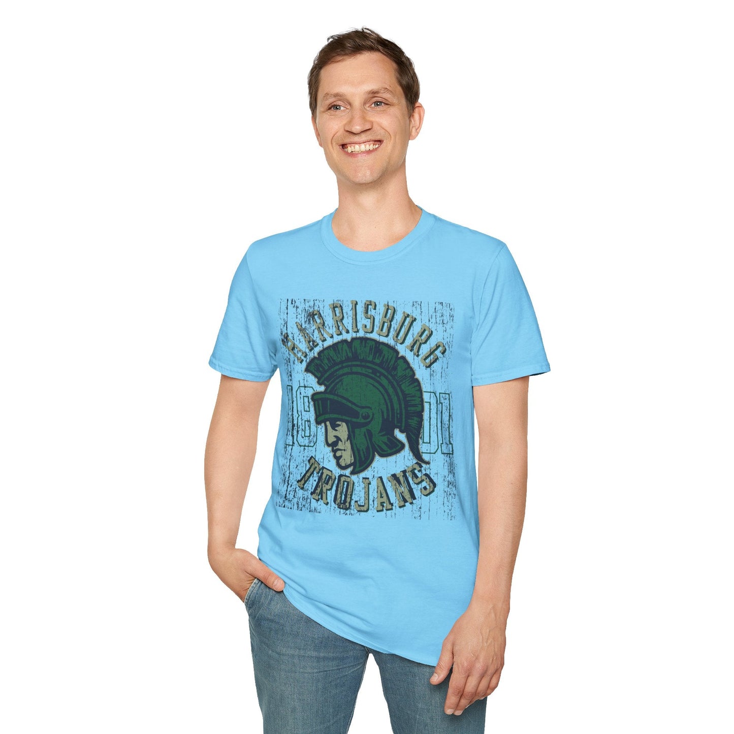 Unisex Gildan Softstyle 64000 Art Design Graphic T Shirt With Artwork Print For Everyday Wear
