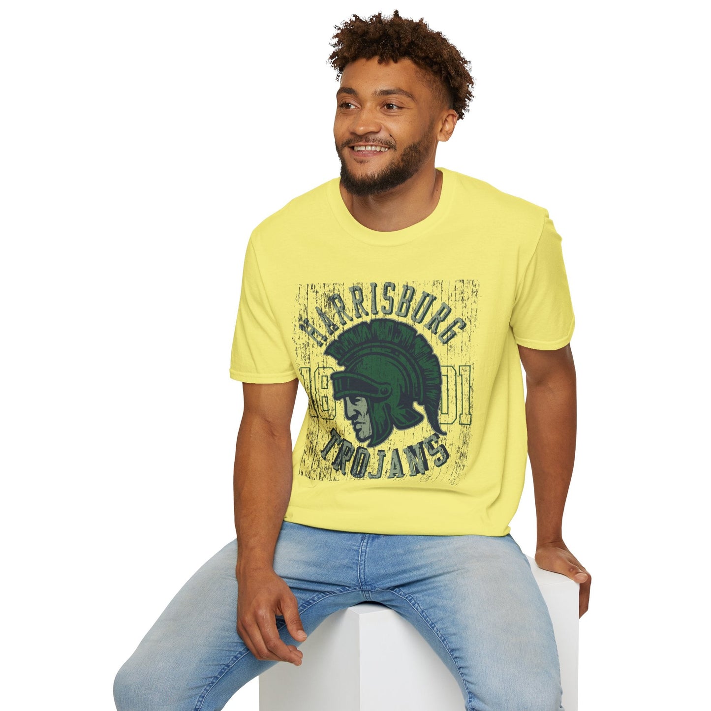Unisex Gildan Softstyle 64000 Art Design Graphic T Shirt With Artwork Print For Everyday Wear