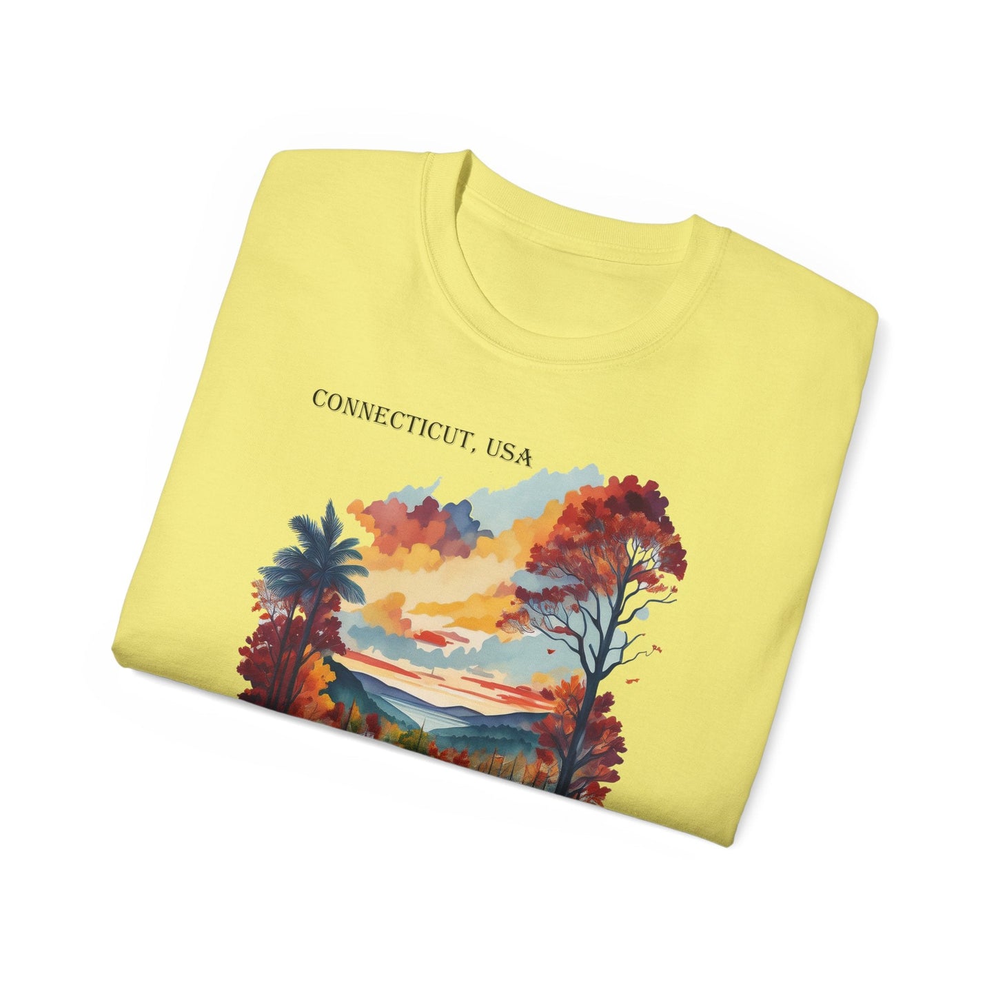 Connecticut Graphic Unisex Cotton T‑Shirt 1