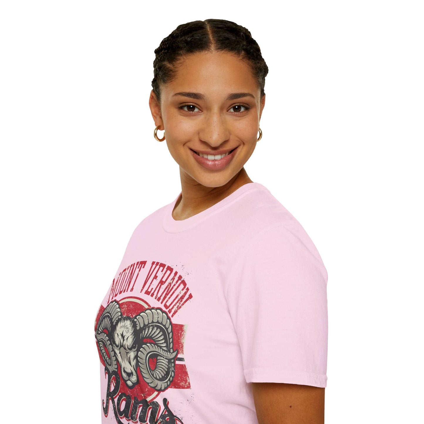Art Design Graphic Tee Shirt Unisex Softstyle 100 Percent Cotton Gildan 64000 Premium Comfort