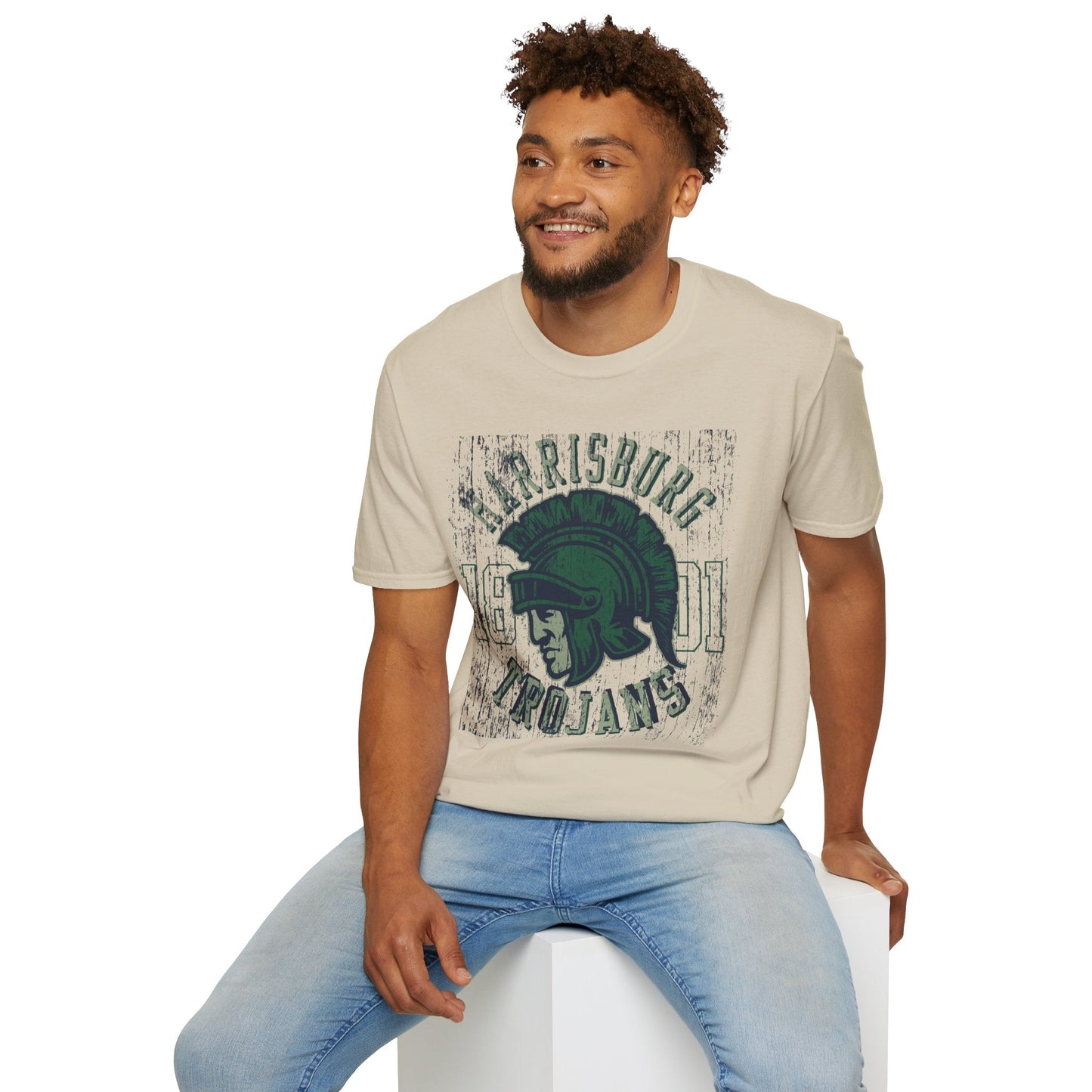 Unisex Gildan Softstyle 64000 Art Design Graphic T Shirt With Artwork Print For Everyday Wear