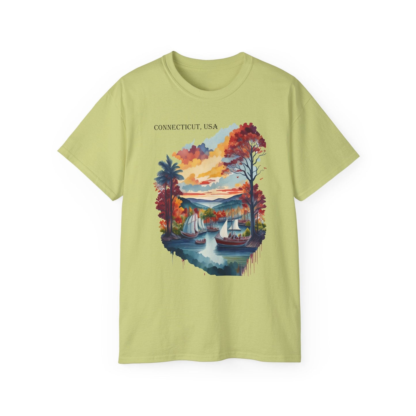 Connecticut Graphic Unisex Cotton T‑Shirt 1