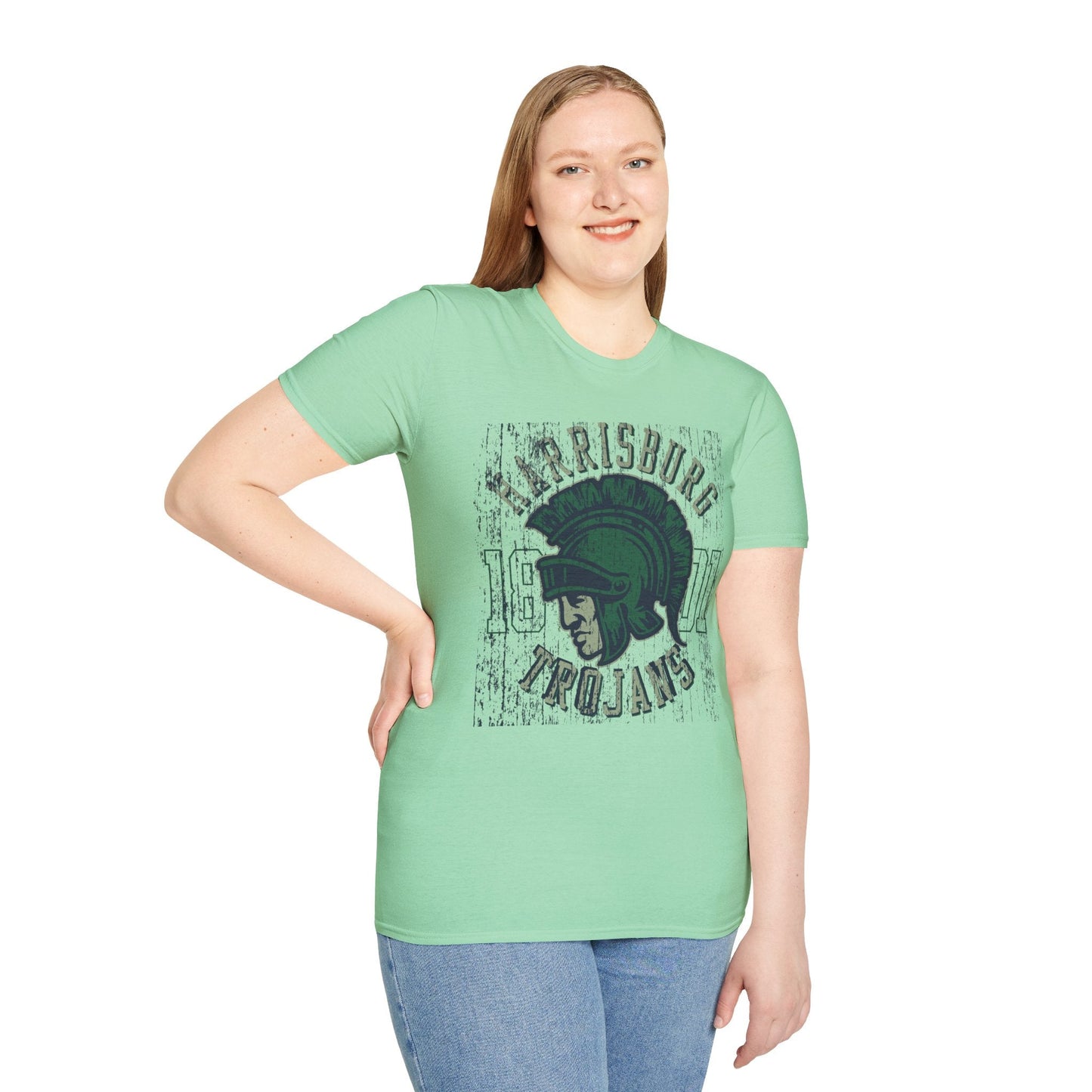 Unisex Gildan Softstyle 64000 Art Design Graphic T Shirt With Artwork Print For Everyday Wear