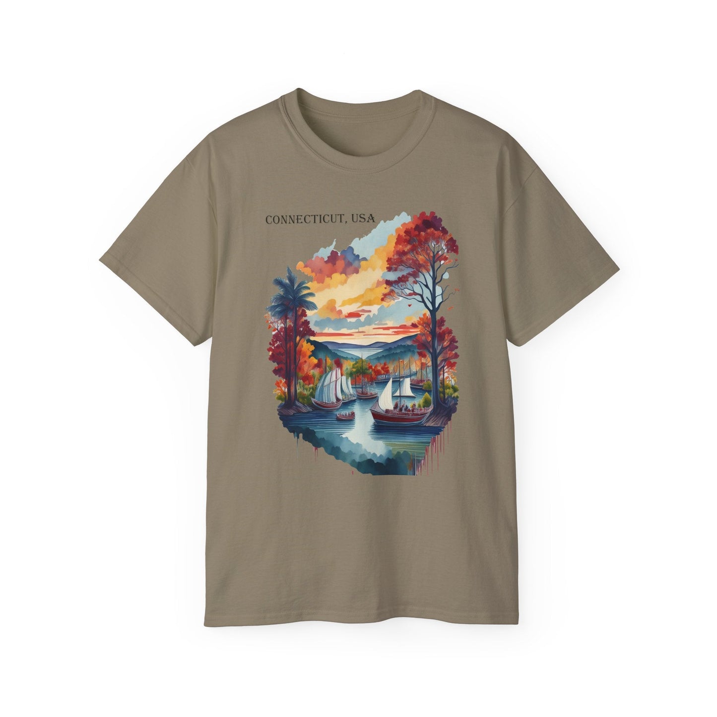 Connecticut Graphic Unisex Cotton T‑Shirt 1