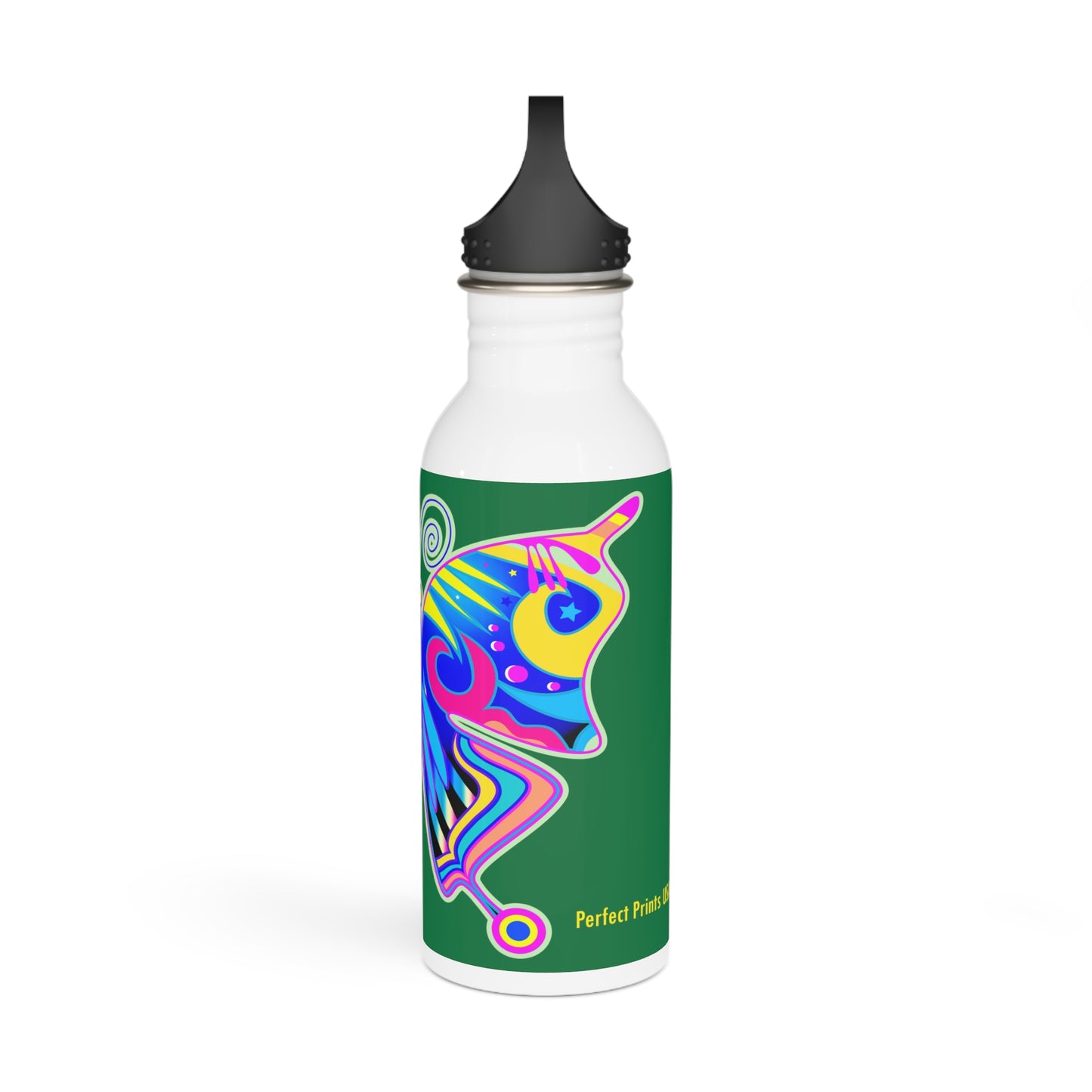 Tumbler Water Bottle with art designs