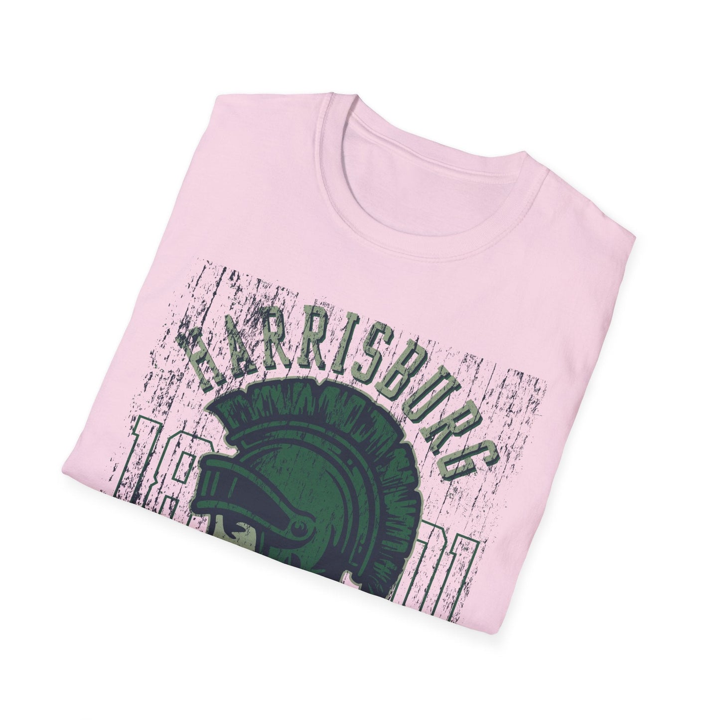 Unisex Gildan Softstyle 64000 Art Design Graphic T Shirt With Artwork Print For Everyday Wear