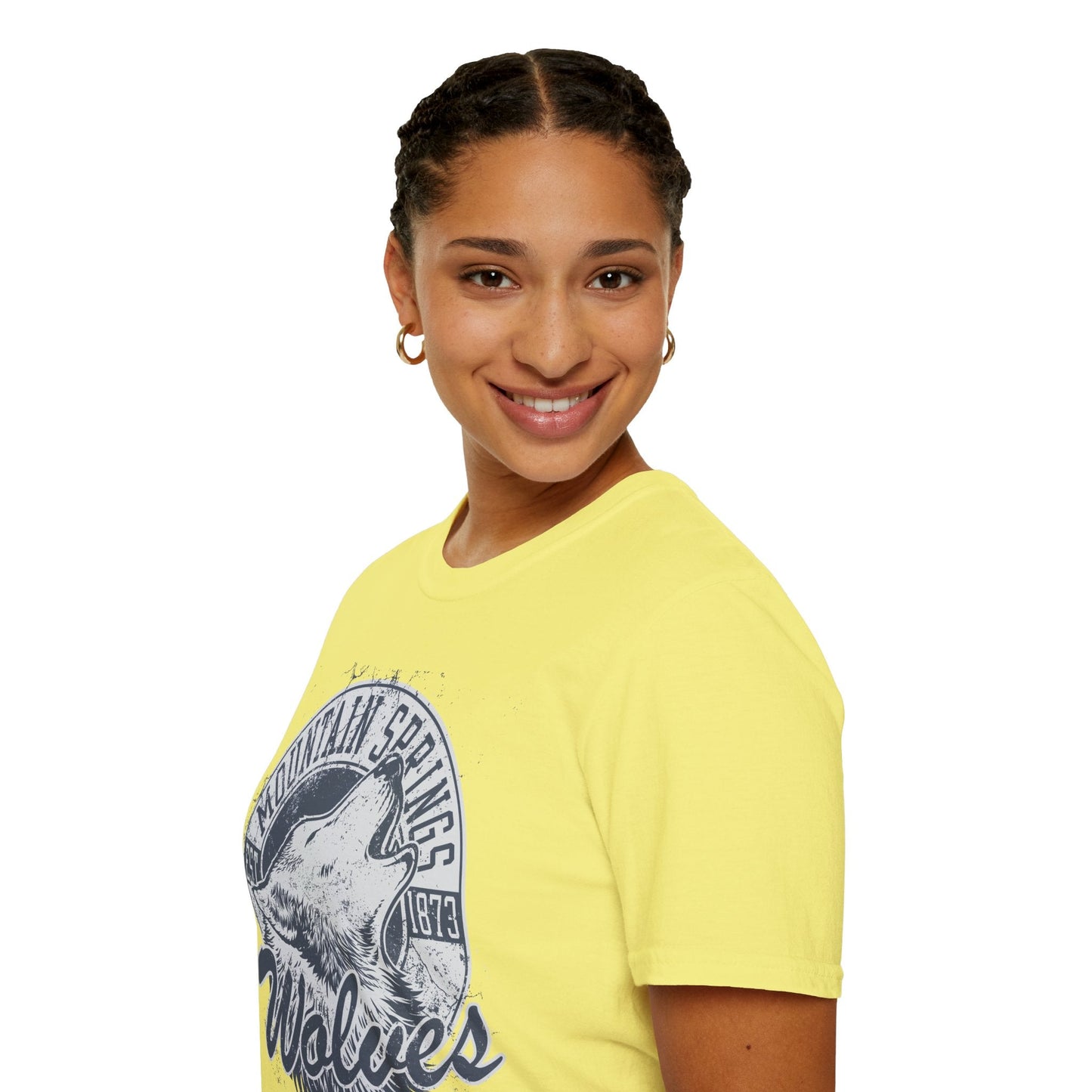 Art Design Graphic T Shirt Unisex Softstyle Tee Gildan 64000 Art Graphic Shirt Classic