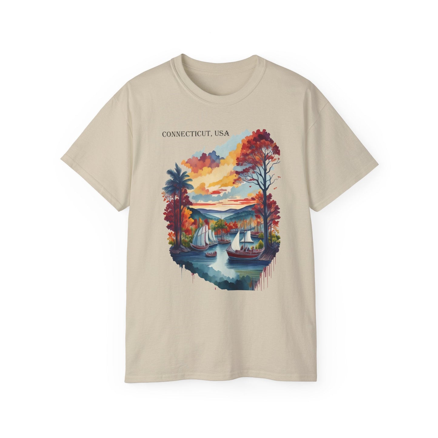 Connecticut Graphic Unisex Cotton T‑Shirt 1