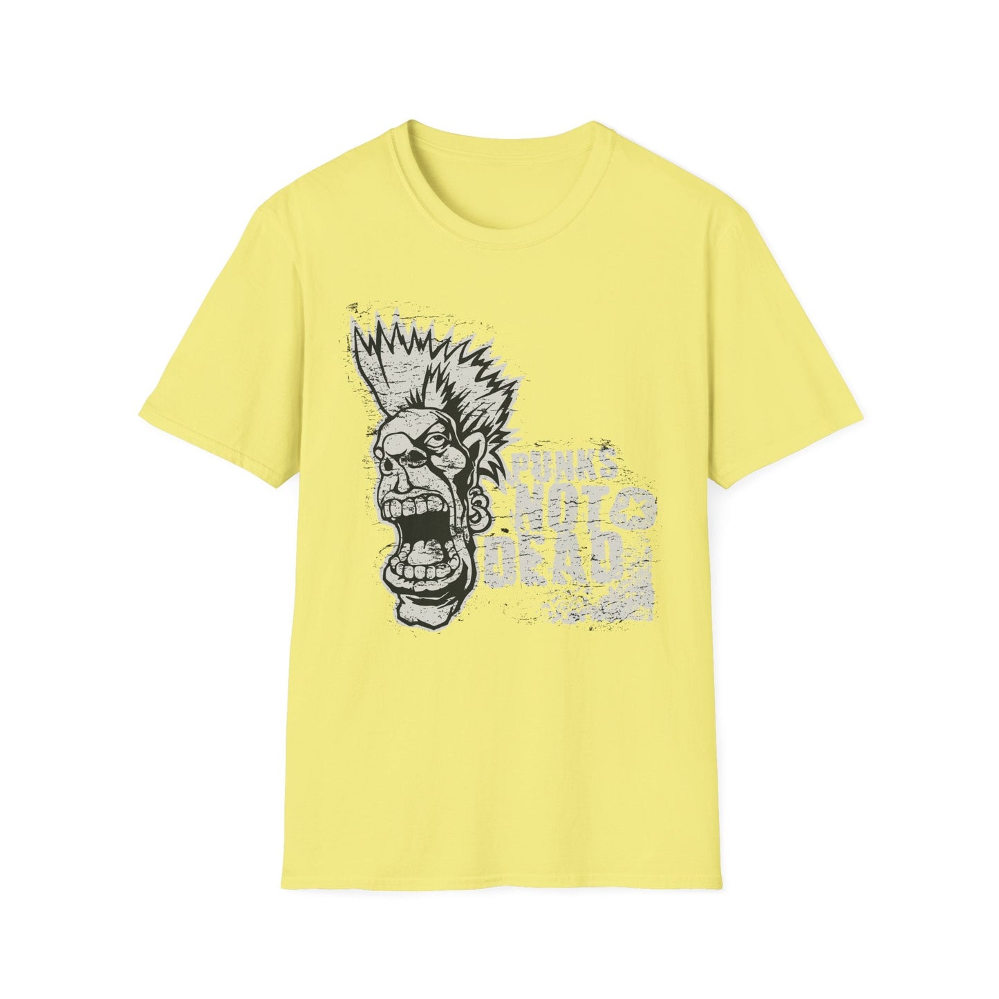 Art Design Graphic Unisex Softstyle T Shirt With Graphic Art Tee For Everyday Wear