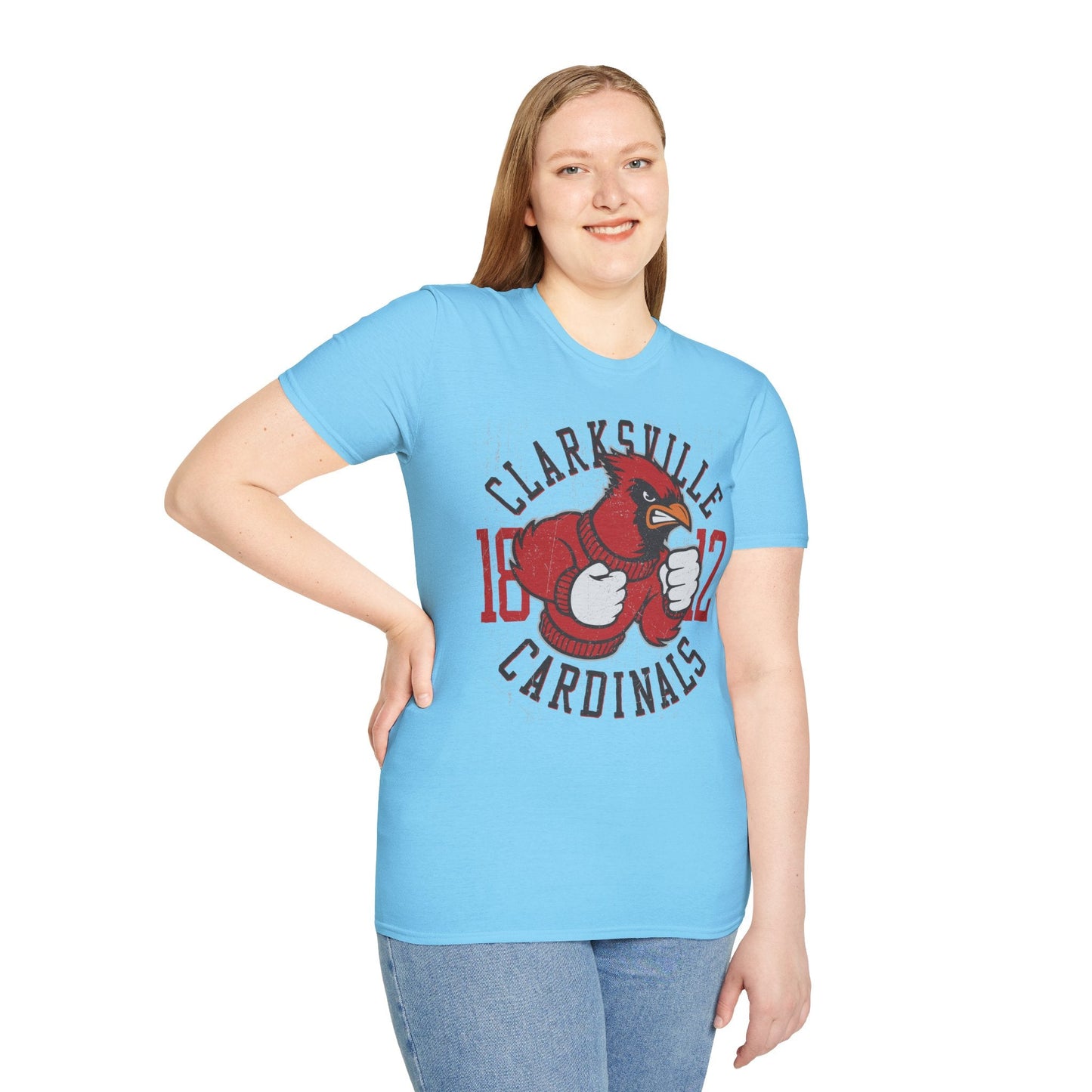 Art Design Graphic Tee Unisex Softstyle Gildan 64000 100 Percent Ring Spun Cotton