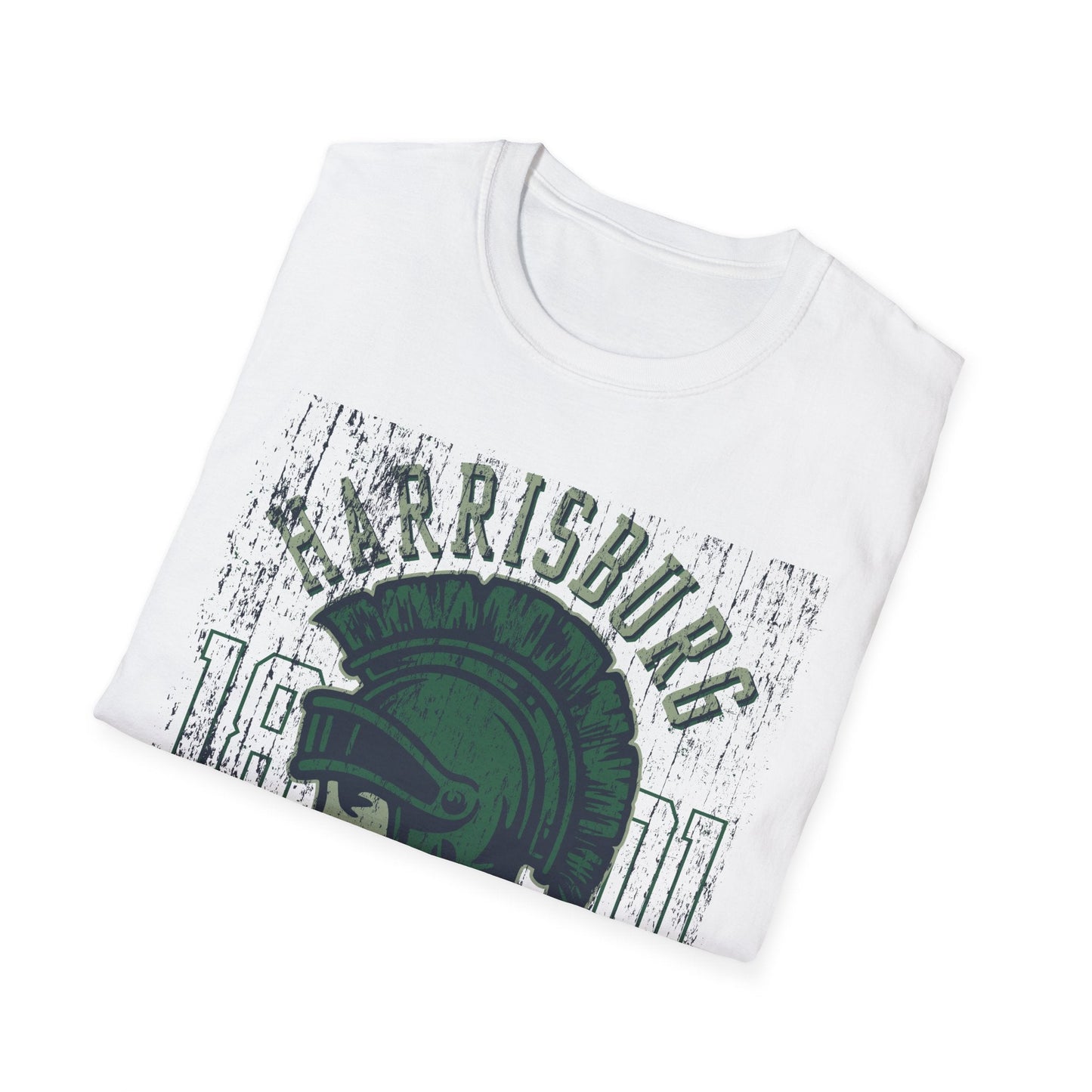 Unisex Gildan Softstyle 64000 Art Design Graphic T Shirt With Artwork Print For Everyday Wear