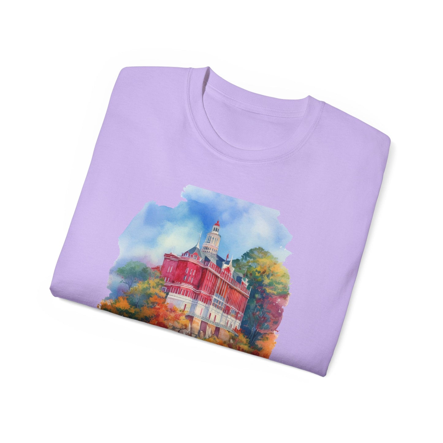 Connecticut Graphic Unisex Cotton T‑Shirt 2