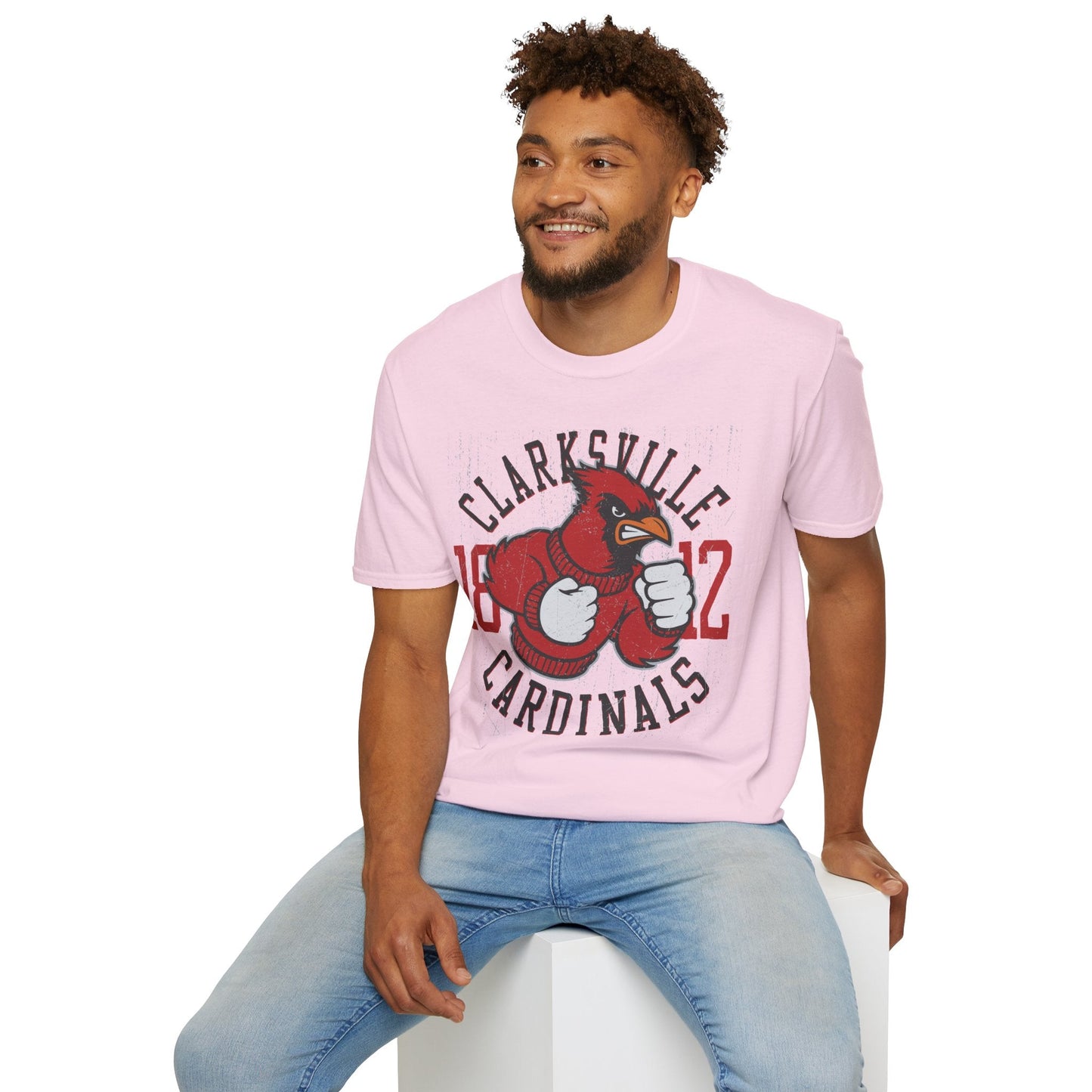 Art Design Graphic Tee Unisex Softstyle Gildan 64000 100 Percent Ring Spun Cotton