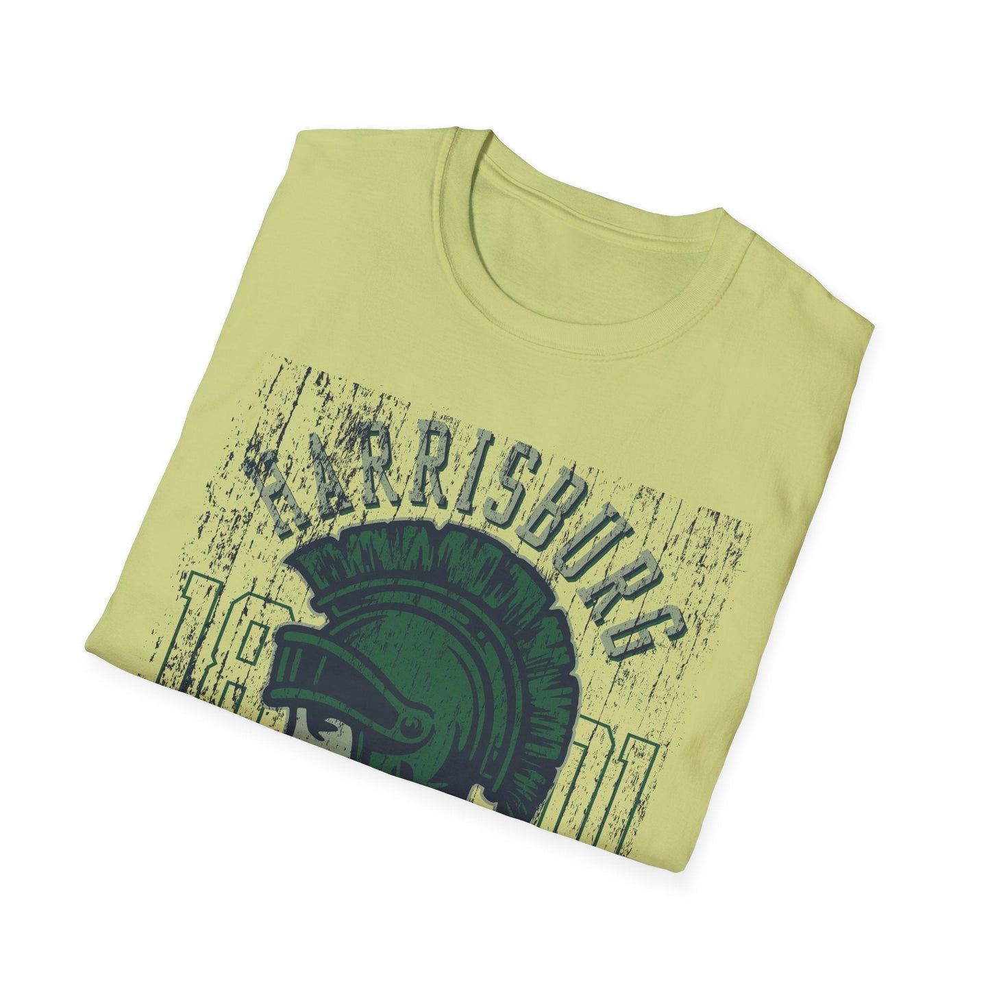 Unisex Gildan Softstyle 64000 Art Design Graphic T Shirt With Artwork Print For Everyday Wear