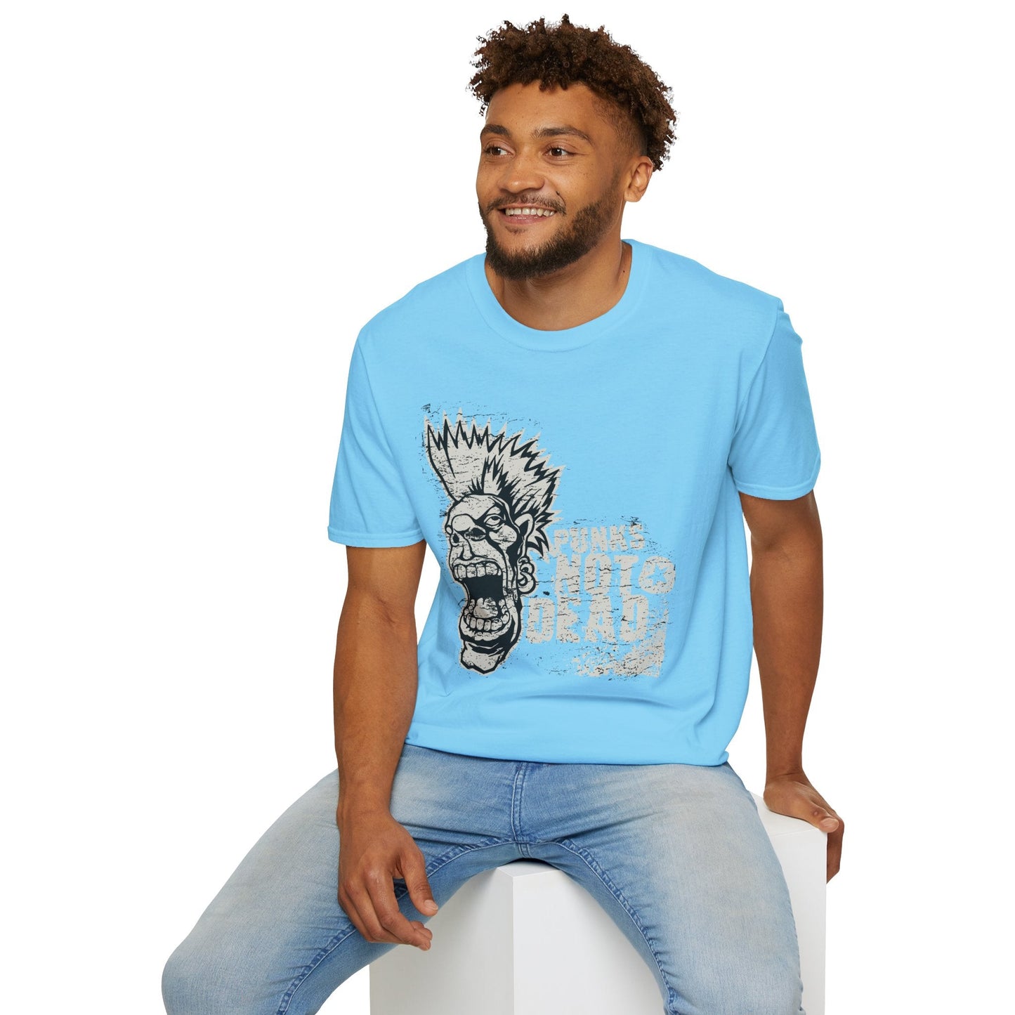 Art Design Graphic Unisex Softstyle T Shirt With Graphic Art Tee For Everyday Wear