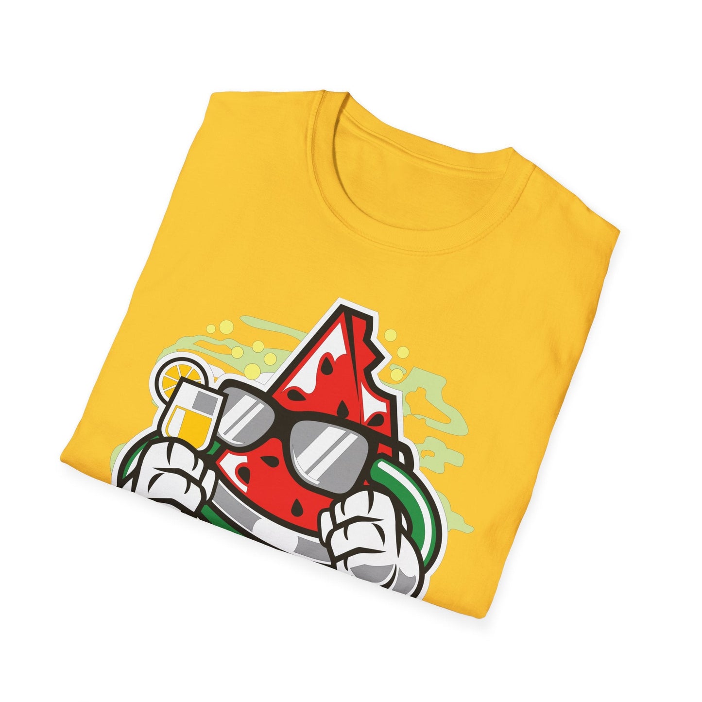 Cartoon T Shirt Animation T Shirt Funny Tee Shirt Unisex Gildan Softstyle 64000 Artwork
