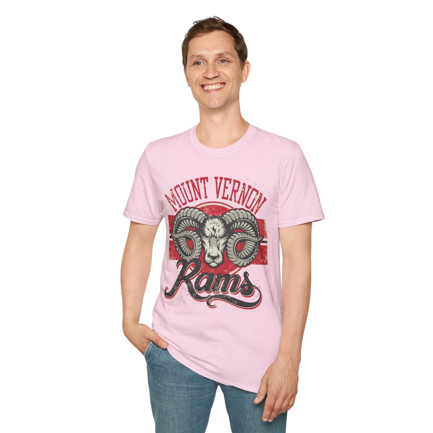 Art Design Graphic Tee Shirt Unisex Softstyle 100 Percent Cotton Gildan 64000 Premium Comfort