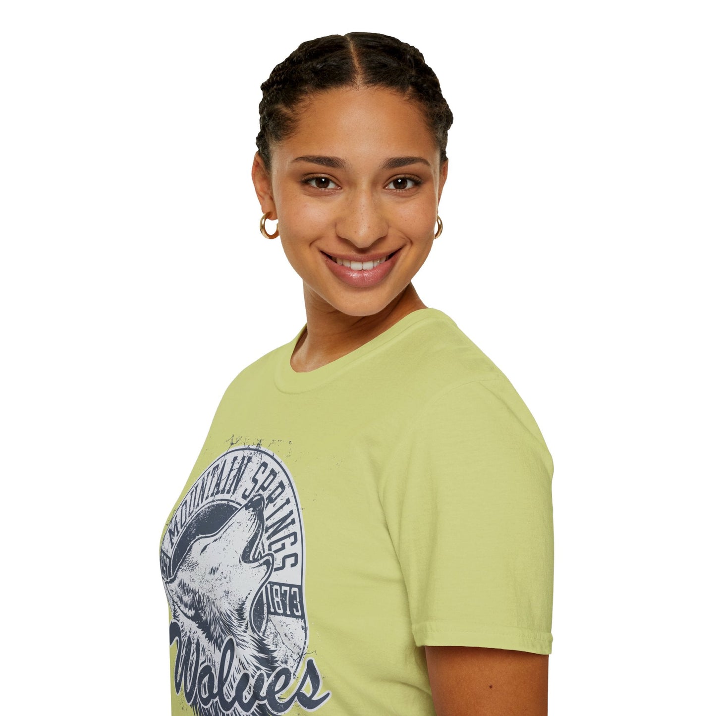 Art Design Graphic T Shirt Unisex Softstyle Tee Gildan 64000 Art Graphic Shirt Classic