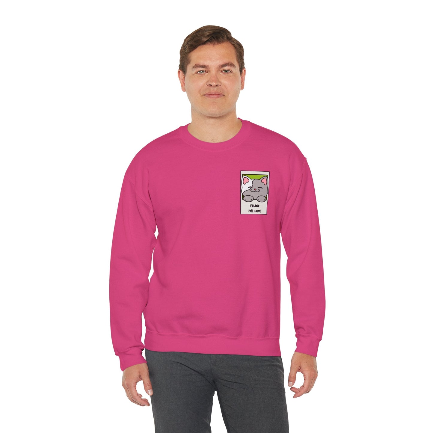 Pocket Cat Sweatshirt Unisex Cat Heart Sweatshirt Valentines Day Gift 50 Percent Cotton Poly Blend