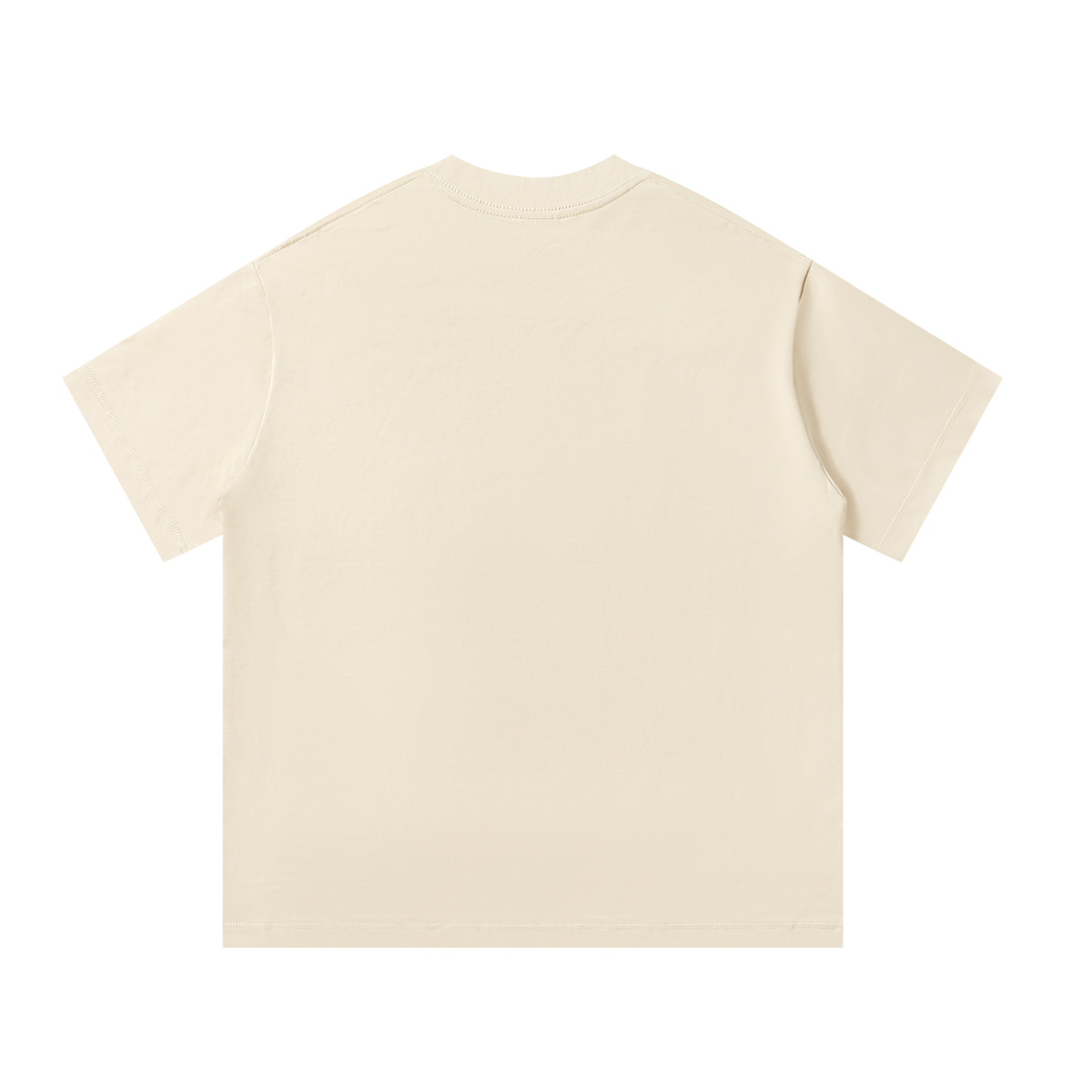 Parrot Beach Unisex Oversized 100 Cotton T-Shirt